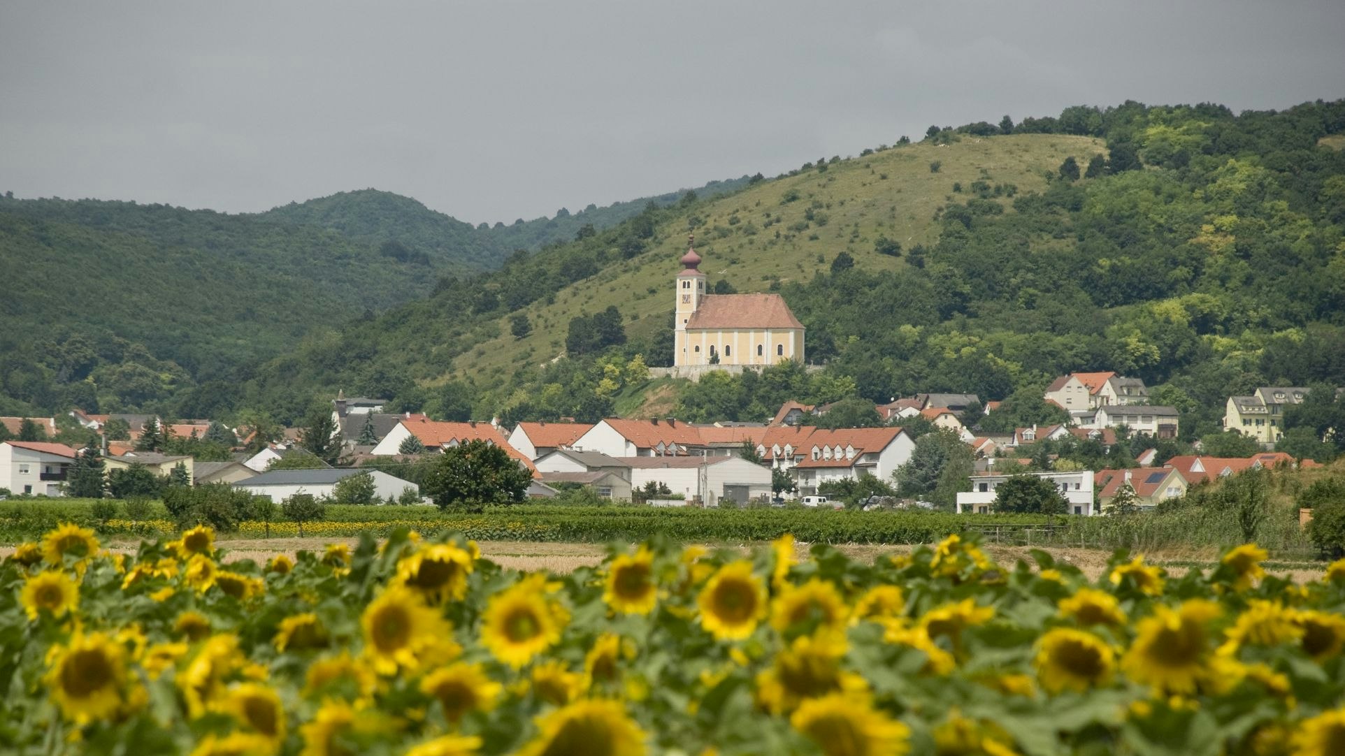 Heute.at - Drei Tage gratis wohnen – Südburgenland sucht Familien