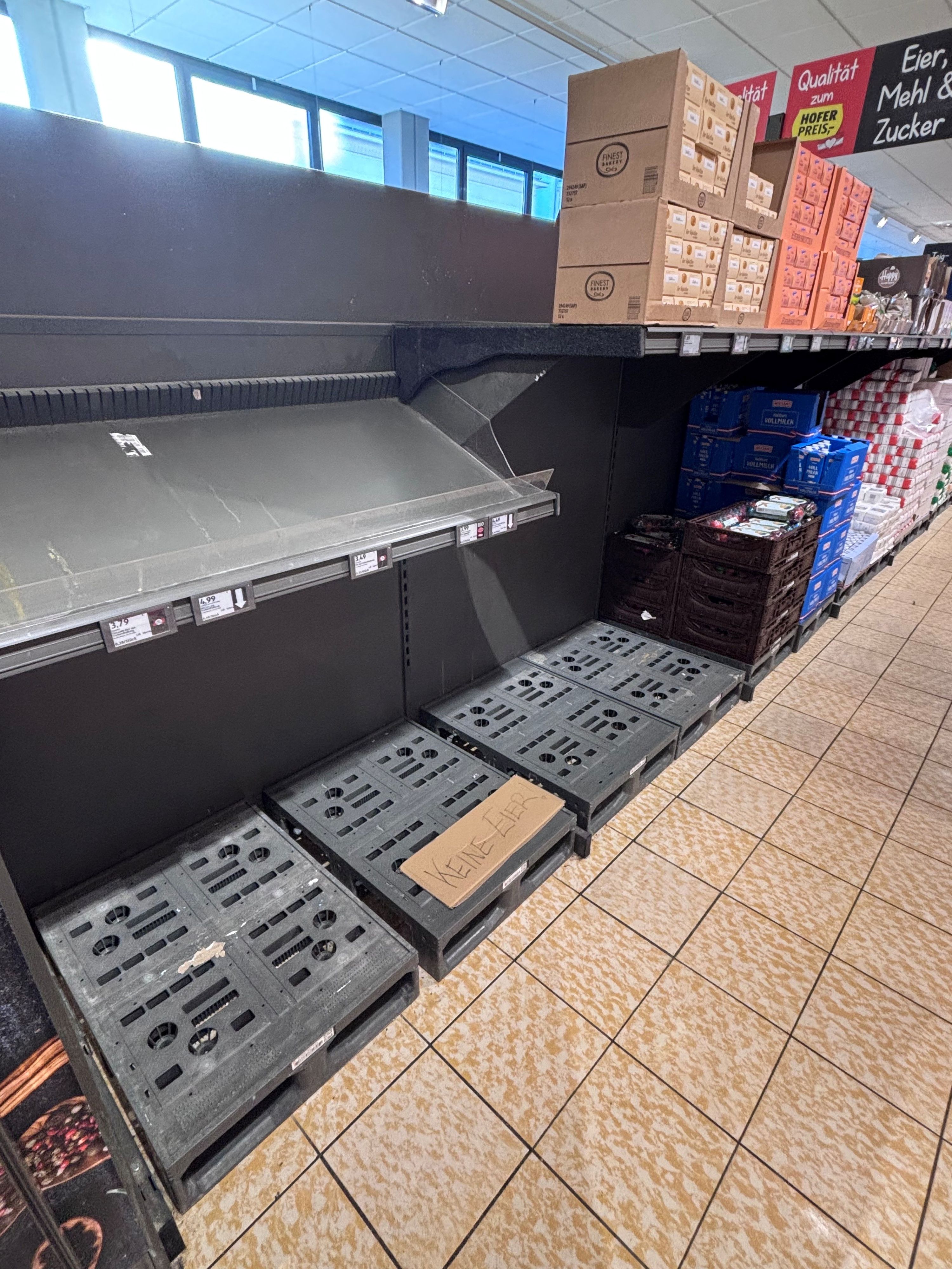 In einer Penzinger Hofer-Filiale gab es am Dienstagvormittag keine Eier mehr. 