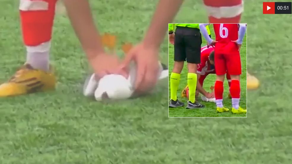 Gani Catan leistete Erste Hilfe, rettete so das Leben des Vogels.