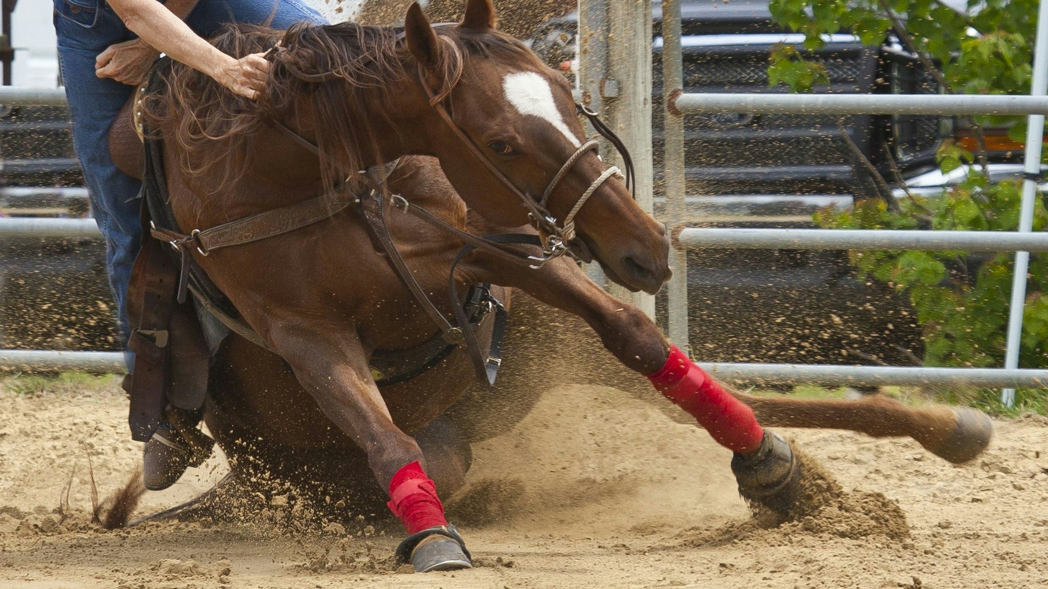 Heute.at - Sieben Jahre alter Bub stirbt nach Unfall mit Pferd
