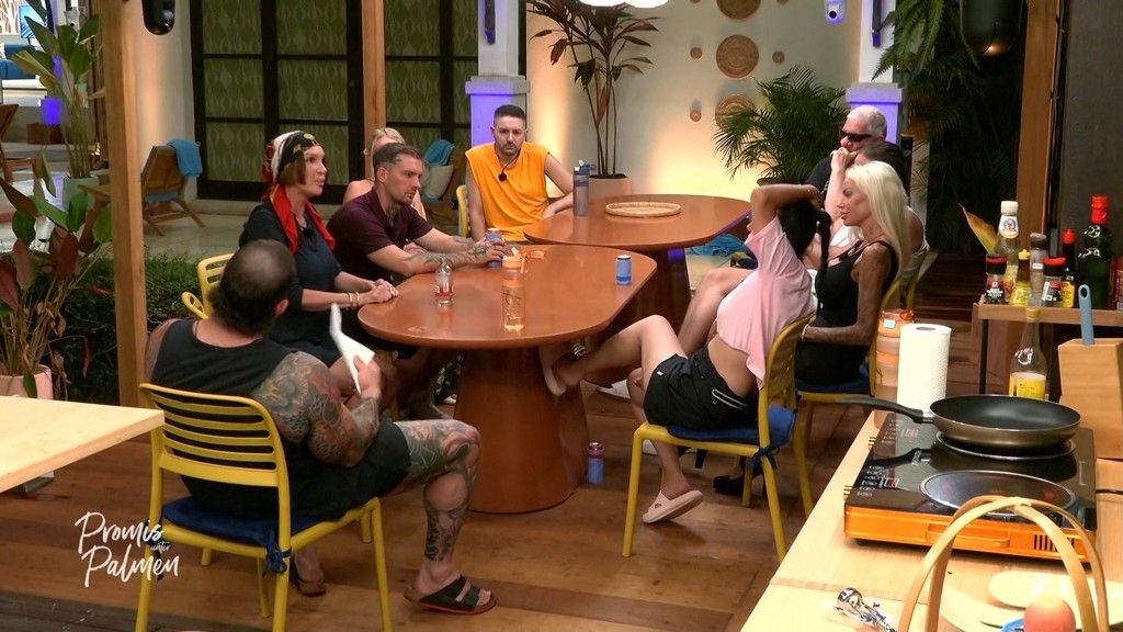 TV-Diva Anouschka erzählt der versammelten Mannschaft von ihrem Unfall.