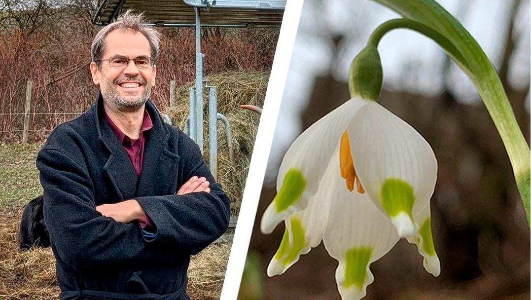 Spitzmüller blickt trotz der Diagnose positiv in die Zukunft, fotografiert gerne Blüten wie diese Frühlingsknotenblume