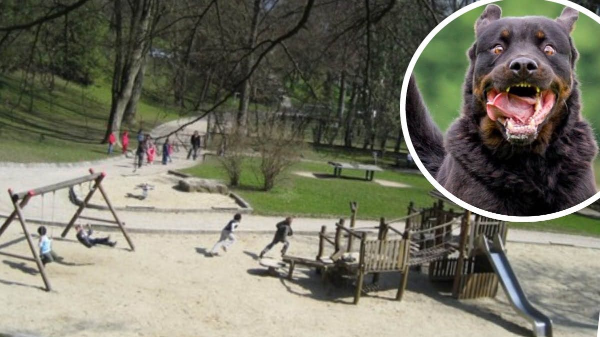 Der Hund ging am Spielplatz Schulertal am Linzer Römerberg auf die Kinder los. (Symbolbild) 