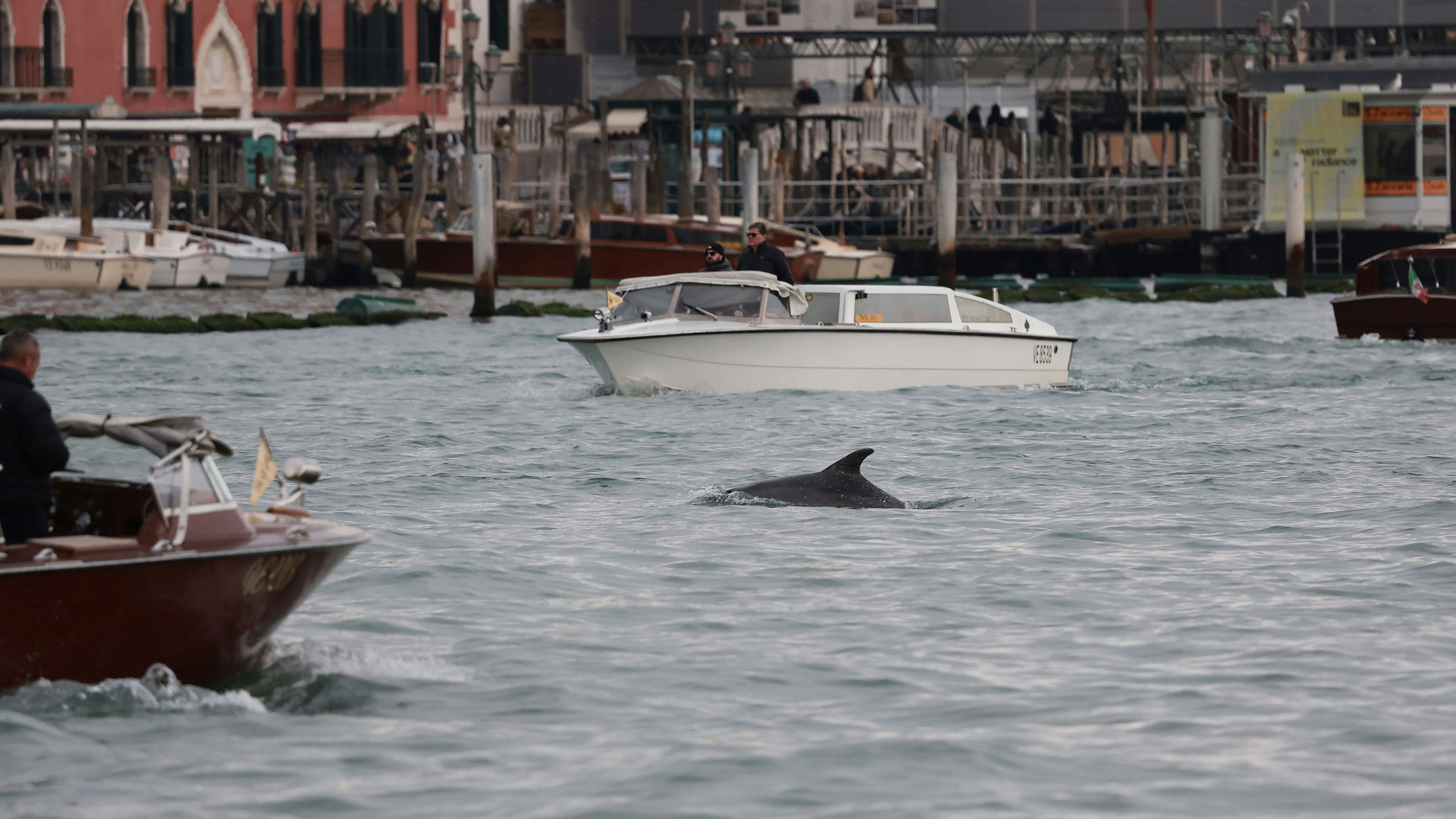 Heute.at - Strenge Verhaltensregeln für Touristen in Venedig