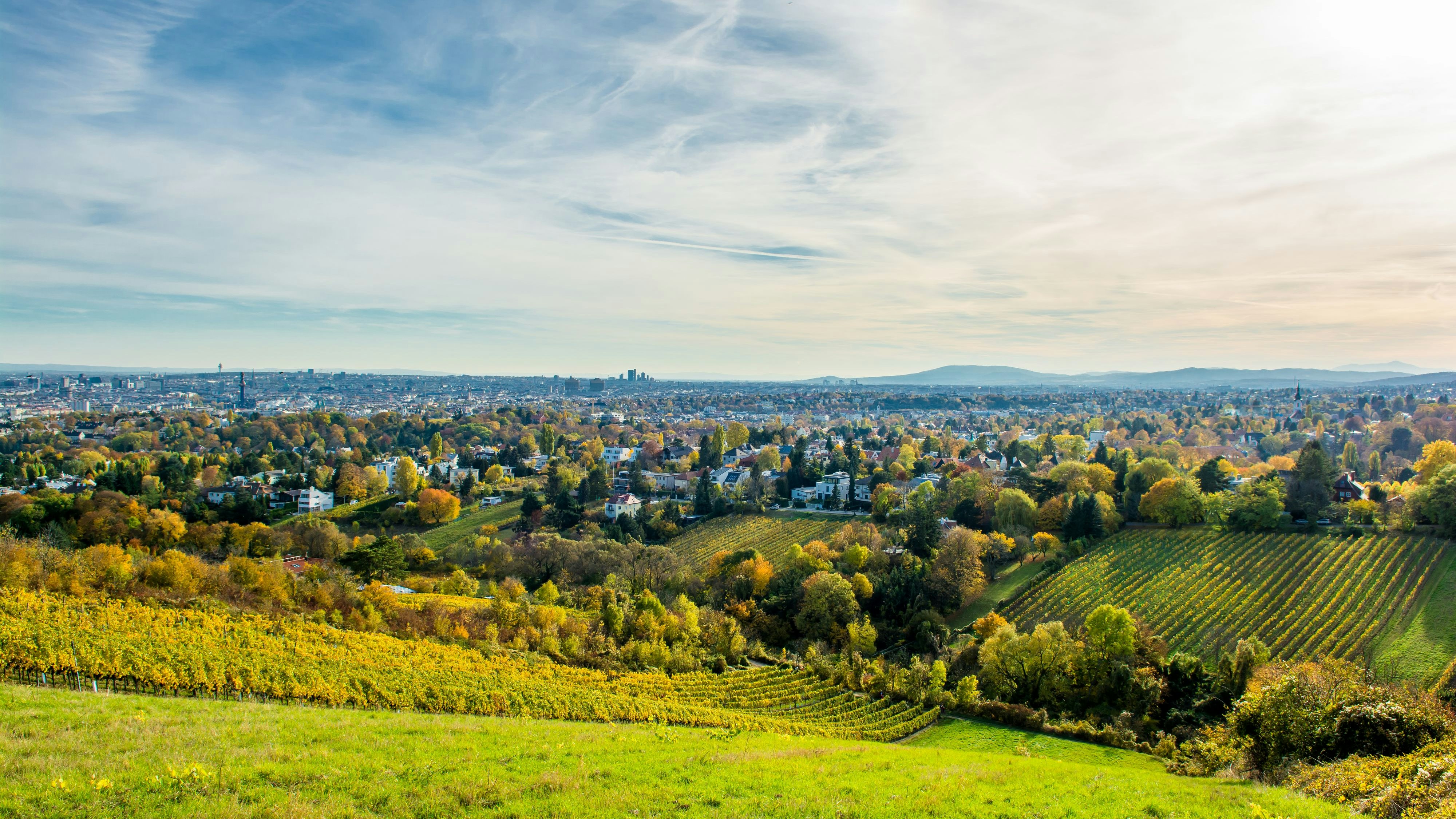 Heute.at - Stadt Wien muss selbst angebautes Produkt zurückrufen