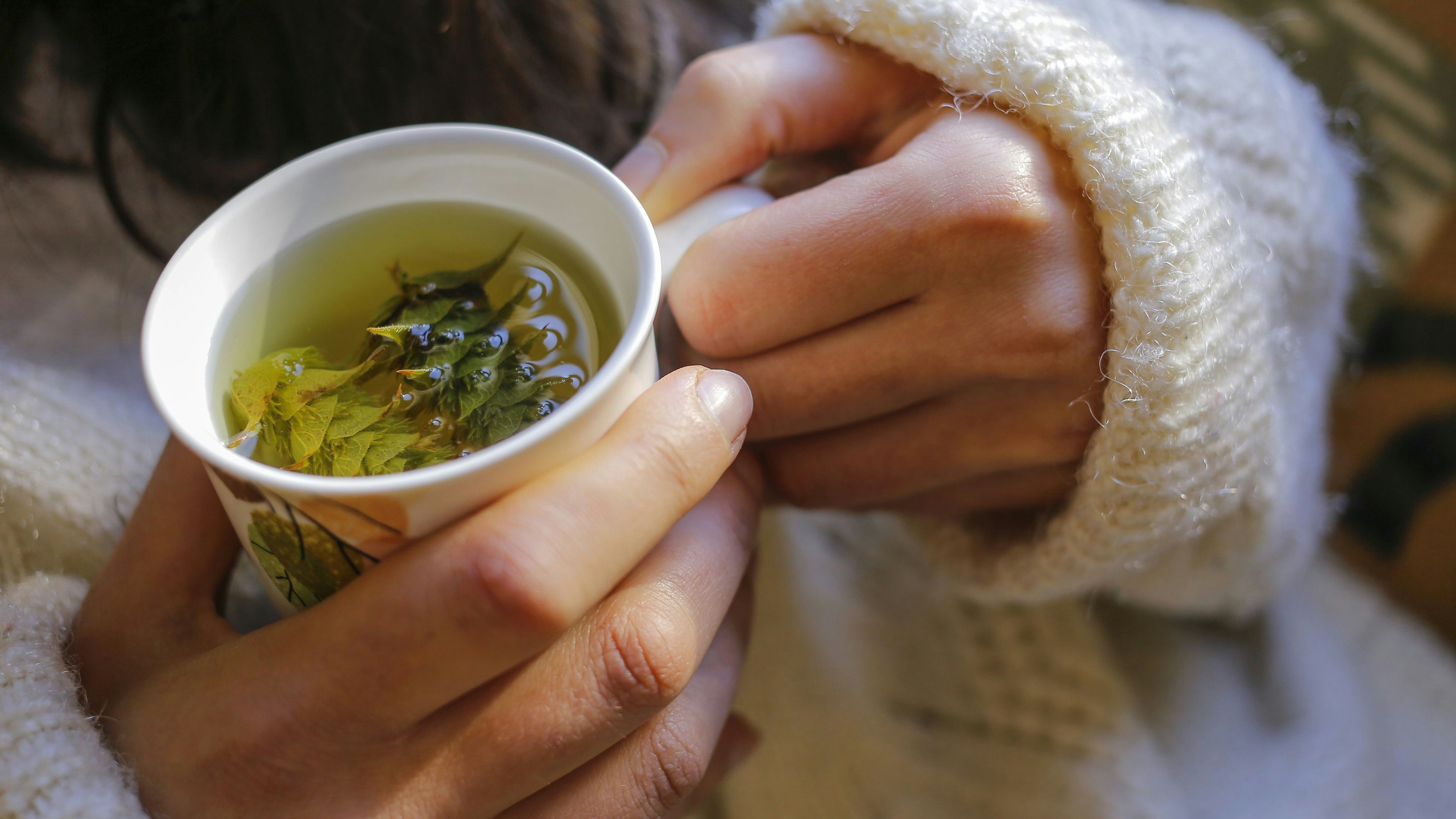 Kräuter-Tipps für die Fastenzeit...