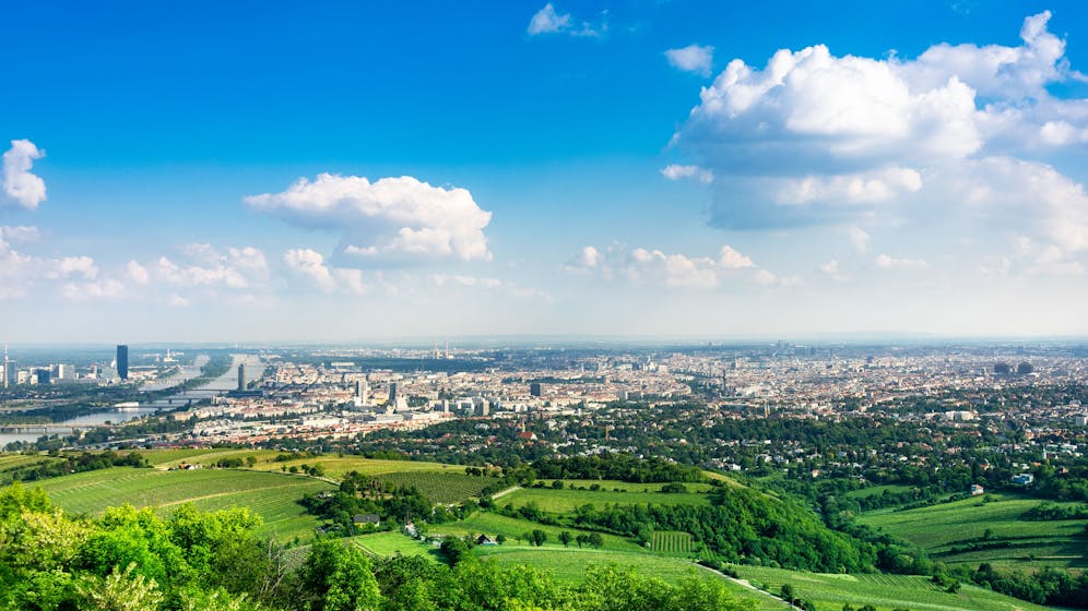 Heute.at - Gekommen, um zu bleiben – Experte erleichtert alle