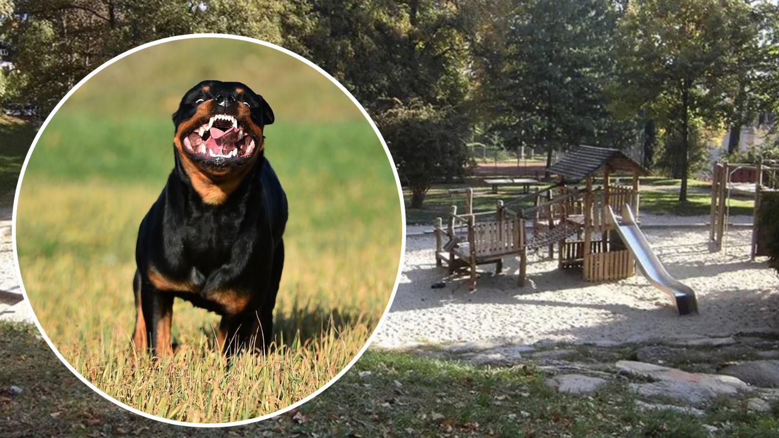 Im Bild der Spielplatz, auf dem die Kinder von dem Rottweiler angegriffen wurden. (Symbolbild)