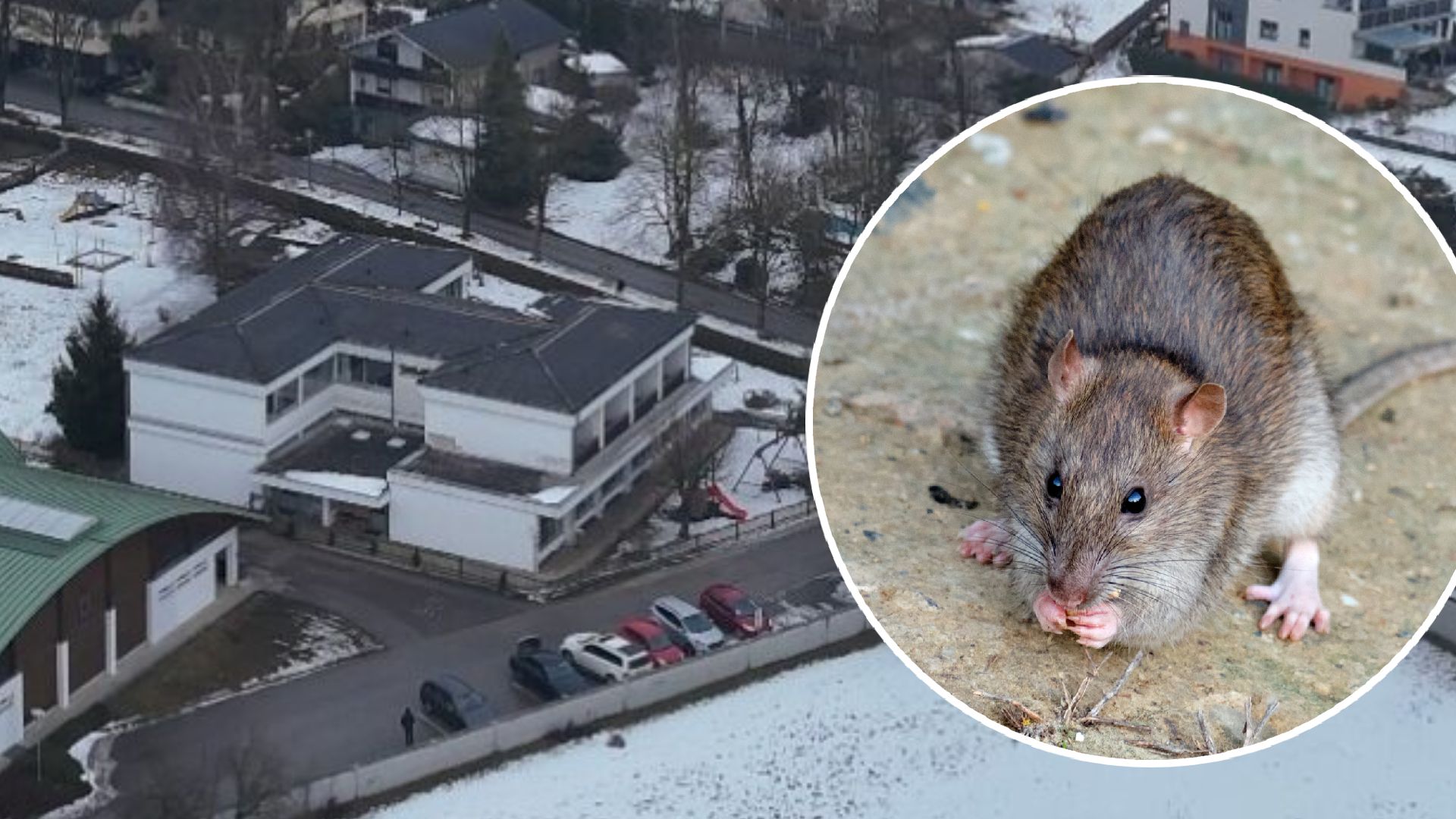 Im Kindergarten in Vorchdorf gab es Probleme mit Ratten und Verwesungsgeruch.