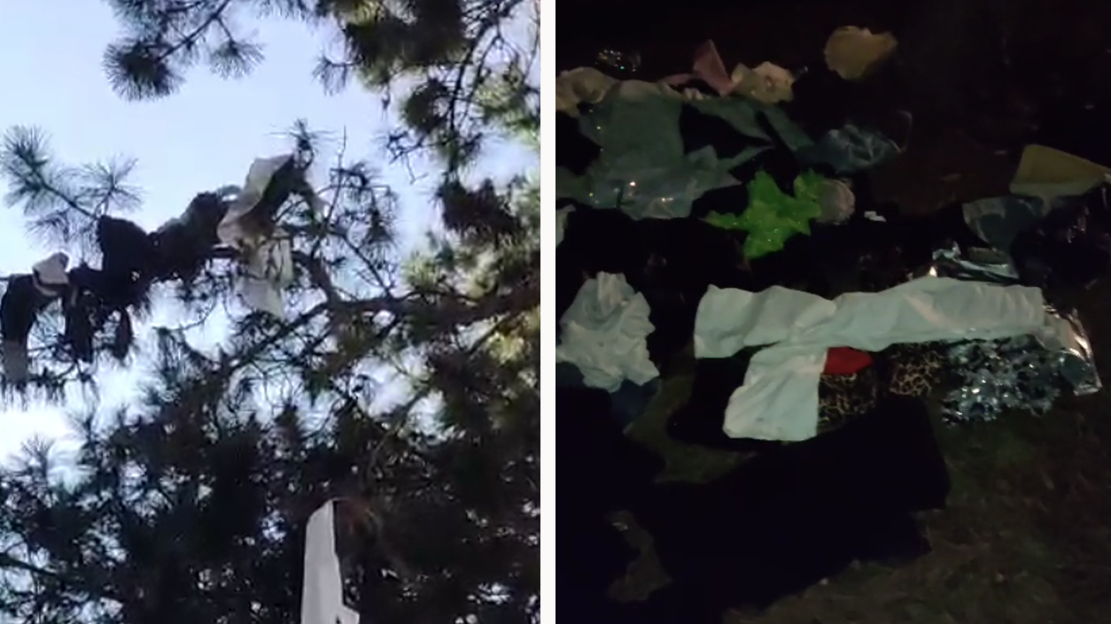 Heute.at - Streit! Wut–Wiener wirft Kleidung aus dem Fenster