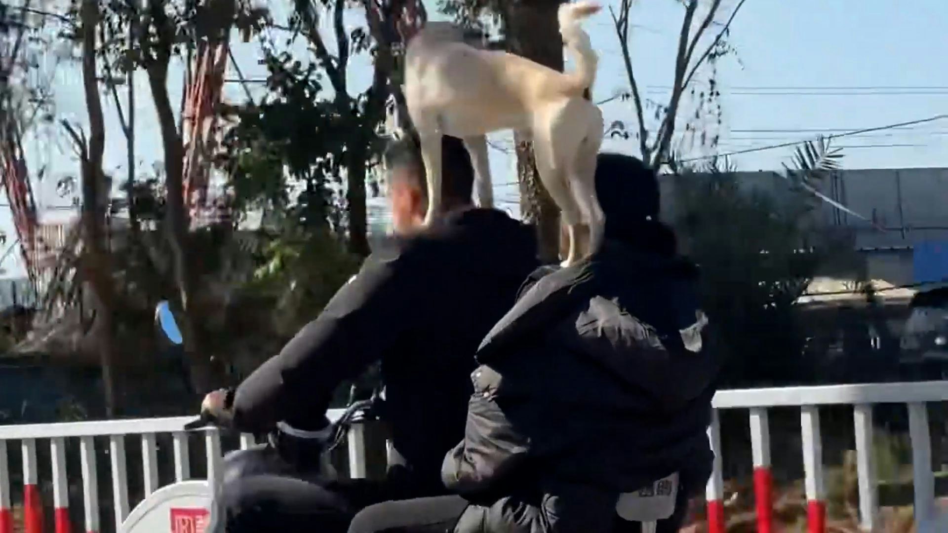 Heute.at - Da bekommt man ja beim Zusehen schon Schnappatmung