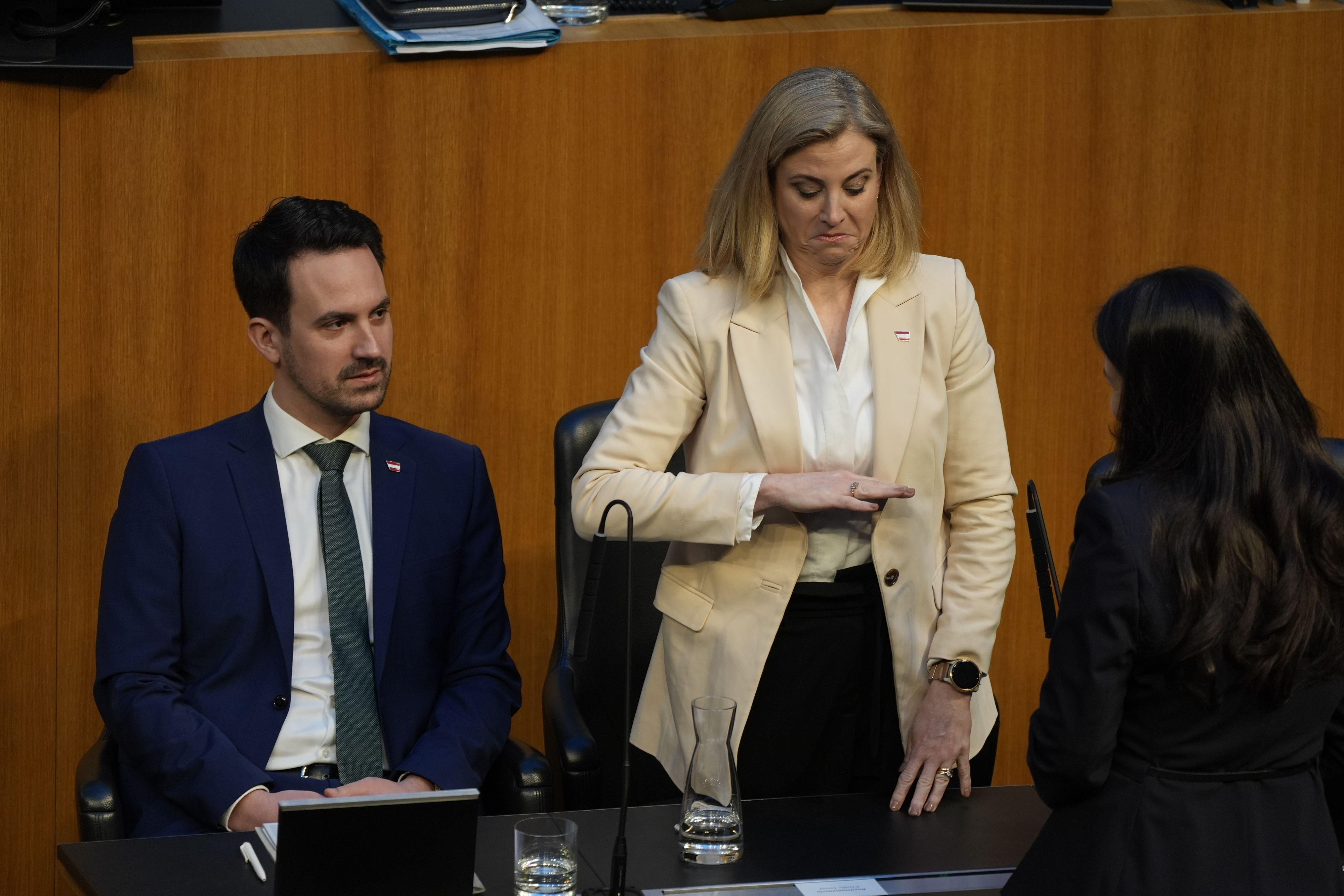 Schwer zu sagen, wen Beate Meinl-Reisinger hier gemeint hat