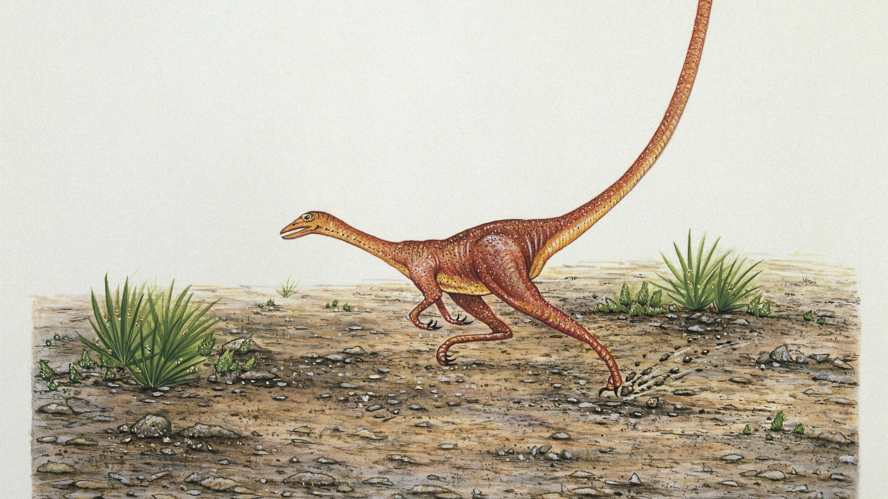 So könnten Alvarezsaurier ausgesehen haben - viele hatte jedoch auch bereits Federn.