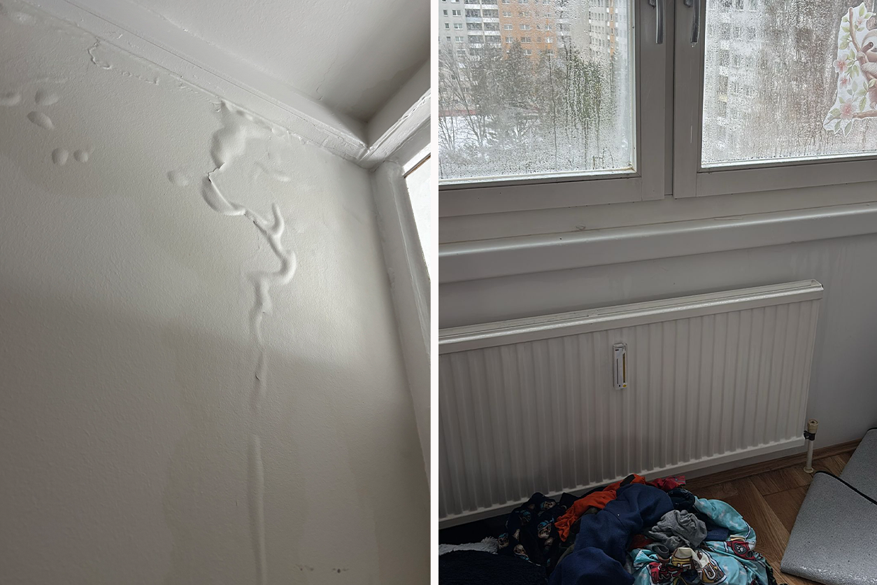 Ein Wasserschaden in der neuen Wohnung sorgt für Ärger in der Donaustadt.