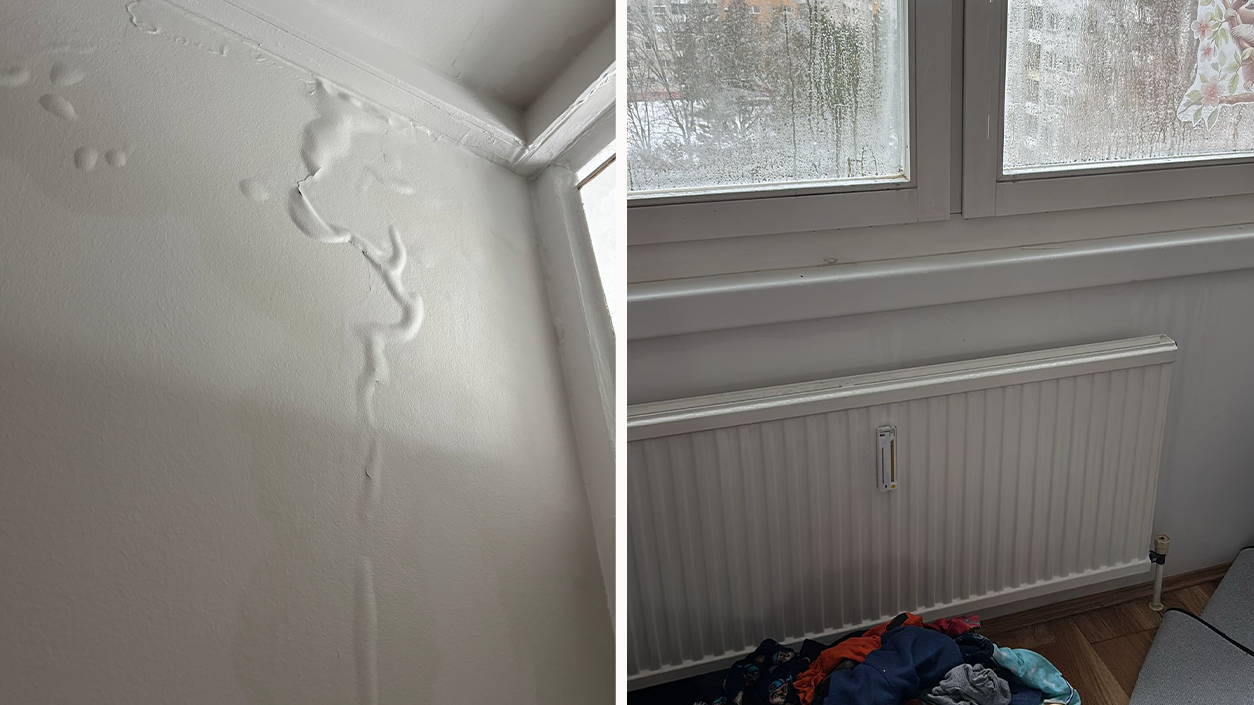 Ein Wasserschaden in der neuen Wohnung sorgt für Ärger in der Donaustadt.