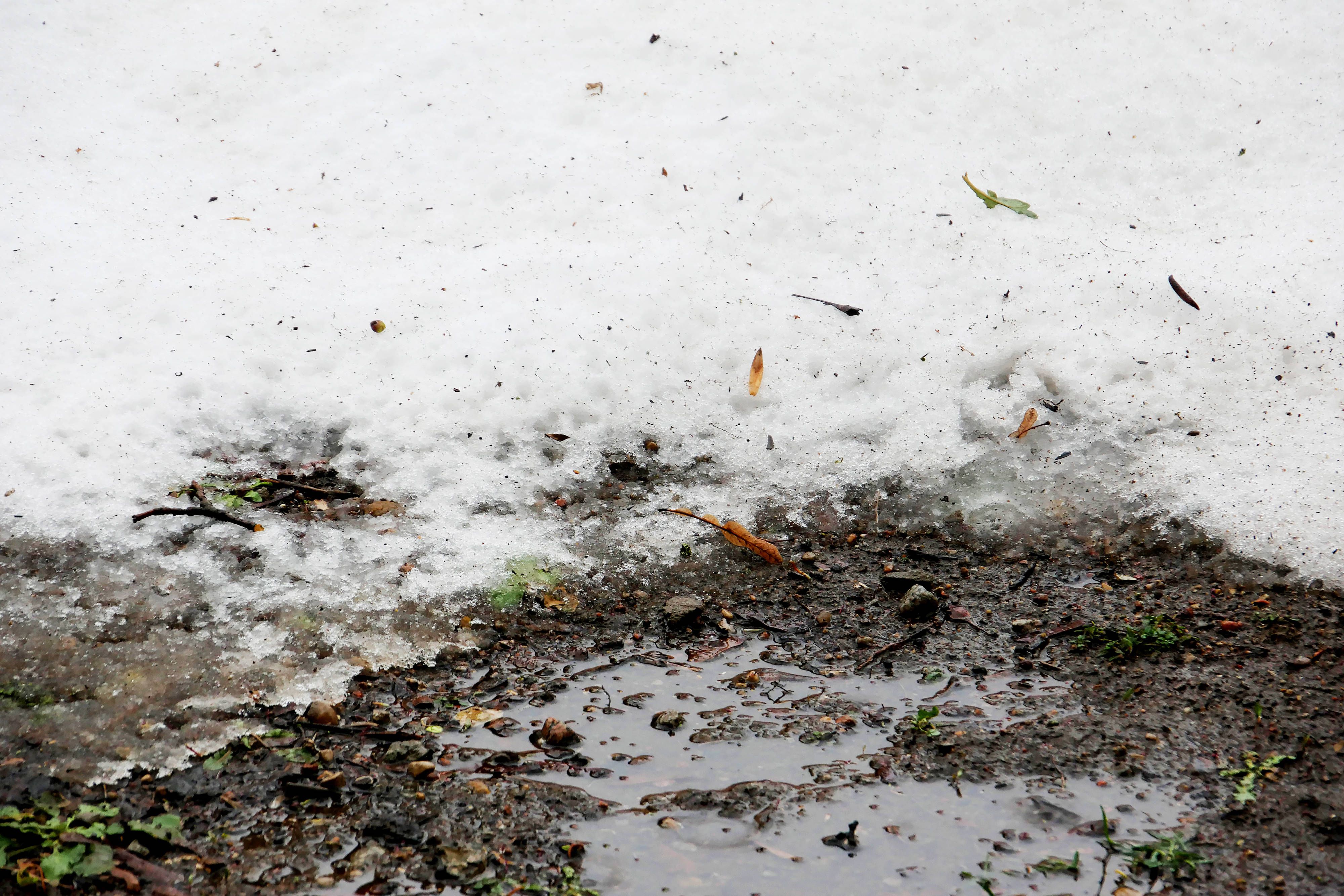Heute.at - Bis zu 17 Grad – doch dann kehrt Winter zurück ins Land
