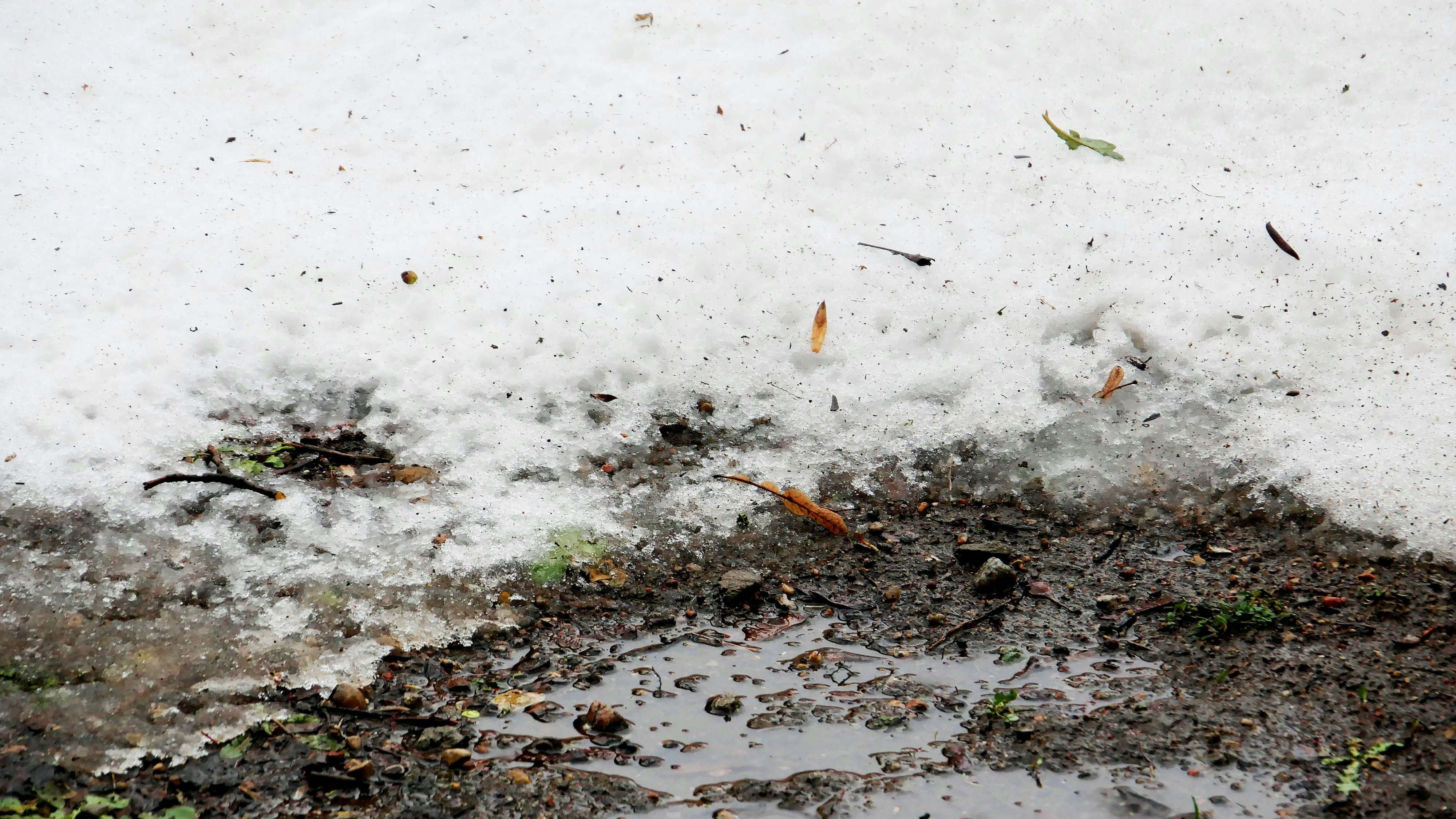 Heute.at - Bis zu 17 Grad – doch dann kehrt Winter zurück ins Land