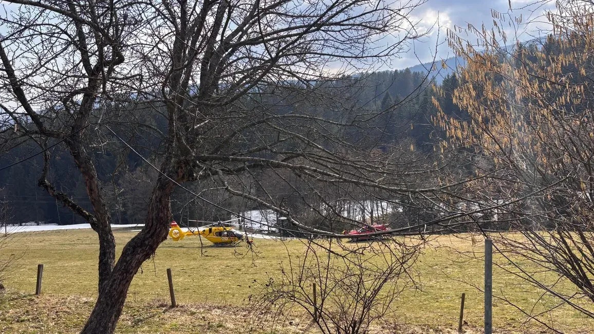 Heute.at - Bin vom Pedal gerutscht – Lenker kracht gegen Baum