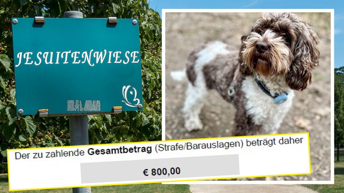 Gigantische Strafe für die kleine Finni. 