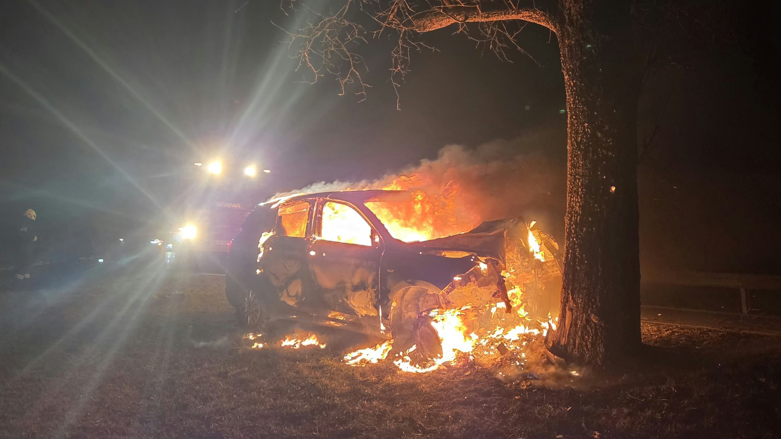 Mit Auto gegen Baum – Pkw-Lenker starb an Unfallstelle