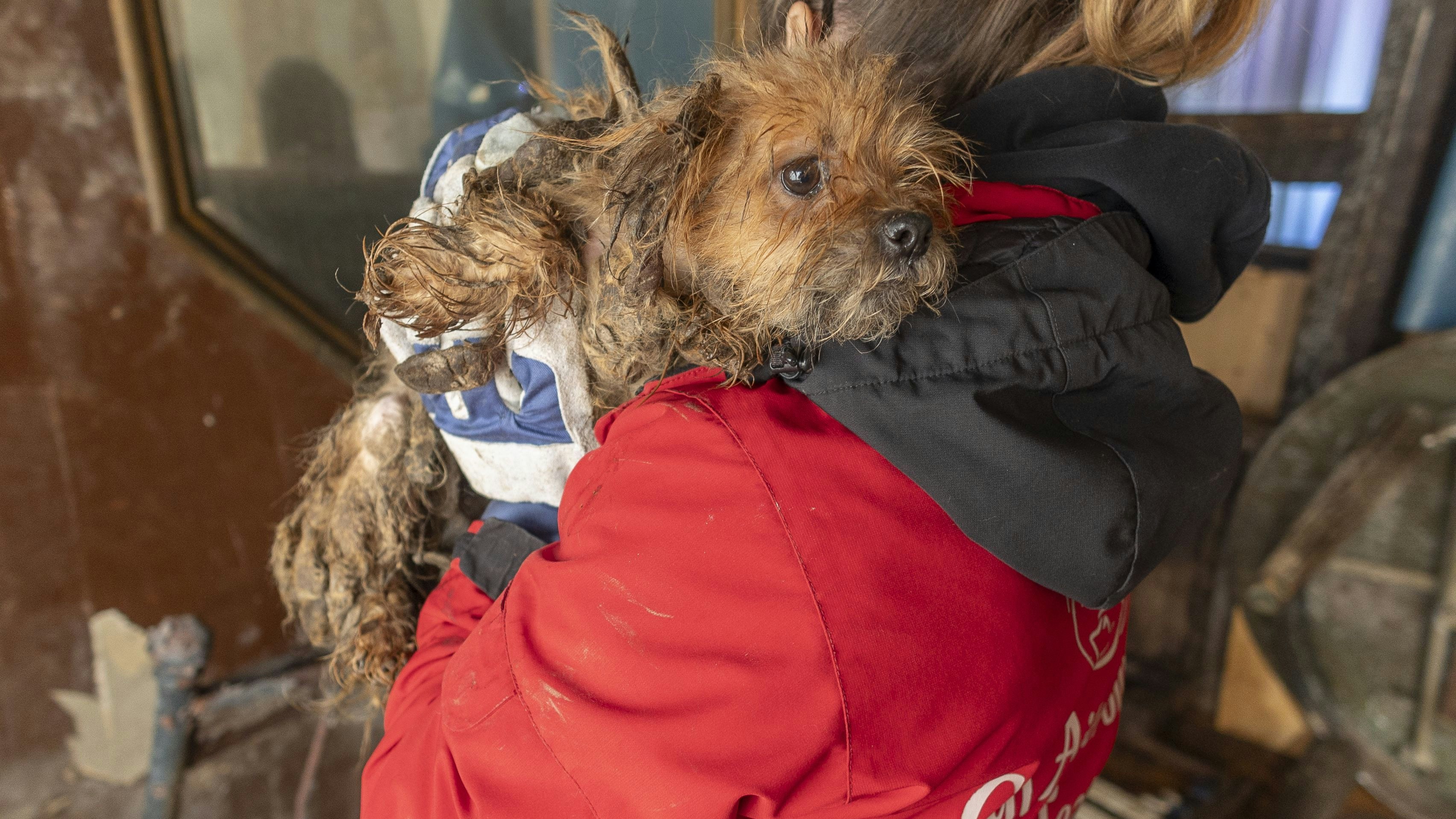 Heute.at - Neuer Höchststand: 9.900 Tiere leben auf Gut Aiderbichl