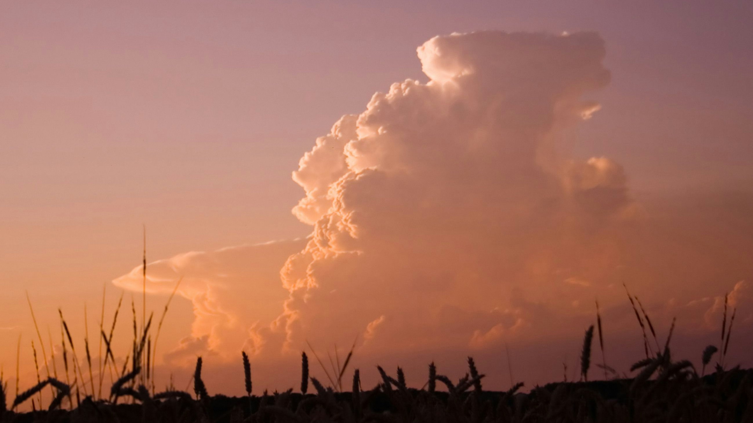 A marvelous storm cloud building up during sunset.