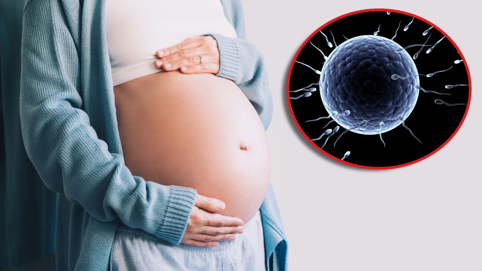 Die Spermiengeschwindigkeit erreicht im Frühsommer ihren Höhepunkt – die Produktion bleibt jedoch ganzjährig stabil.