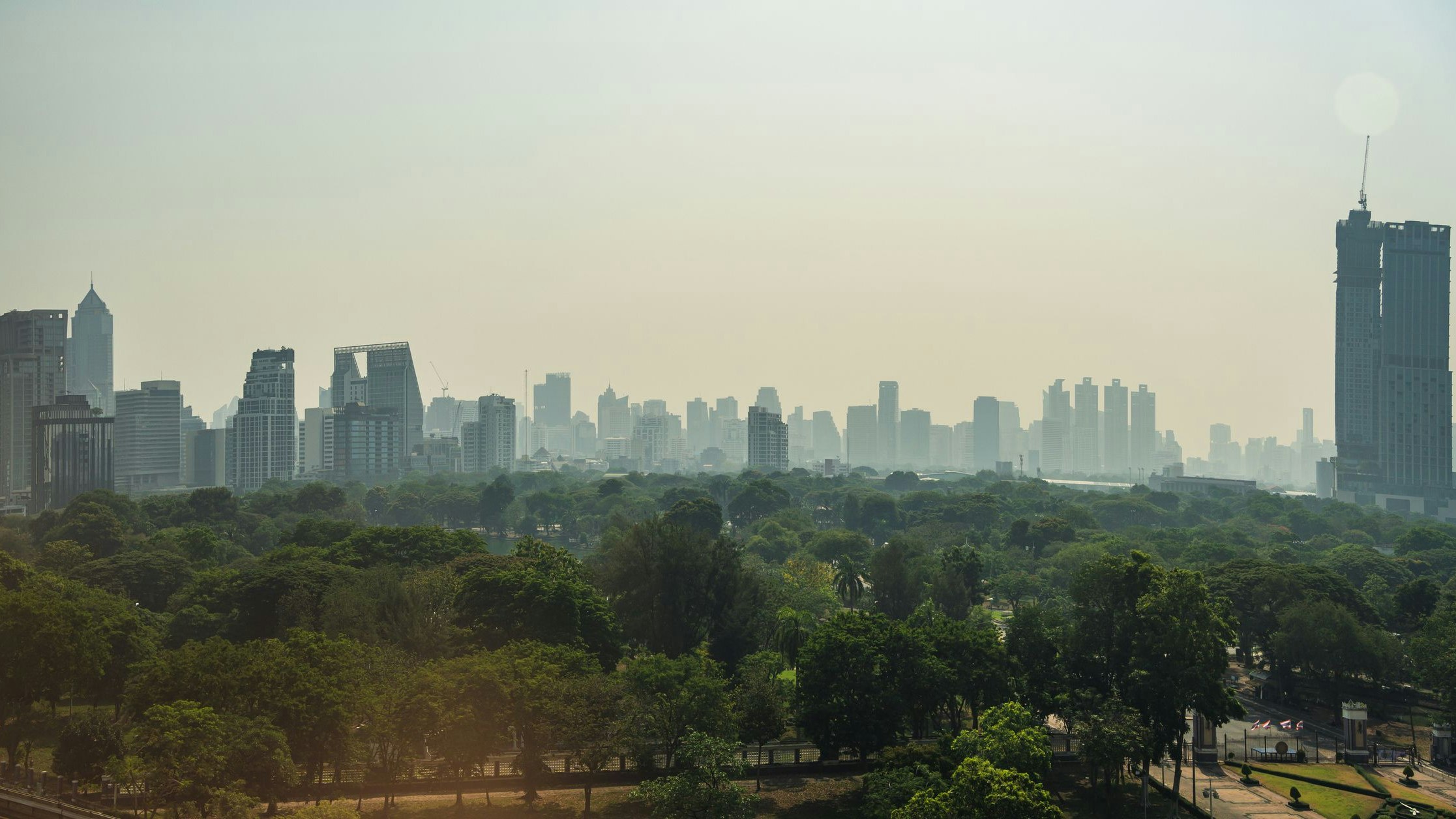 Vor allem der Lumphini Park wurde schon längst von den Urzeitechsen vereinnahmt und ist deshalb ein beliebter Touristen-Hotspot.  