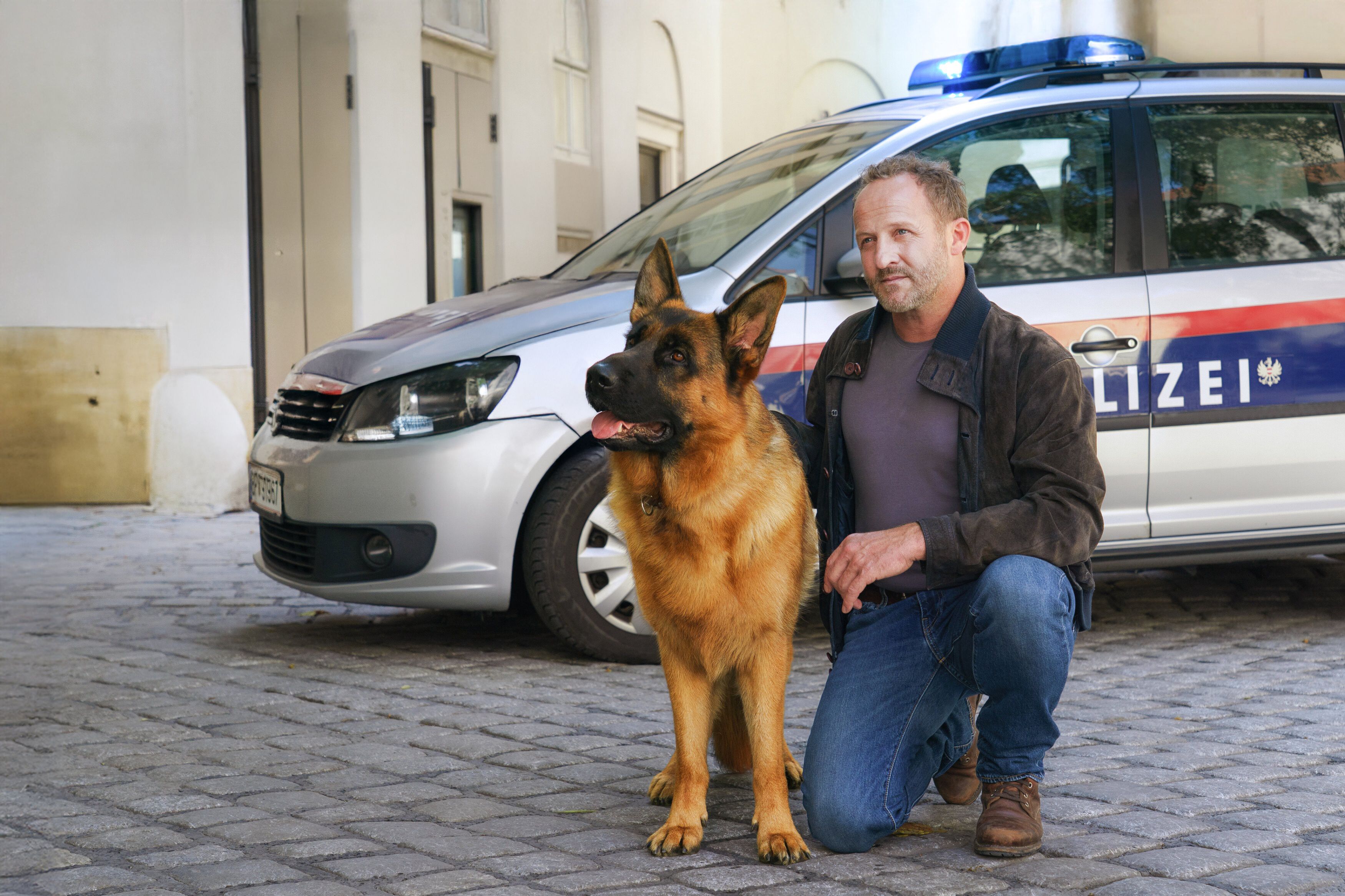 Heute.at - Kommissar Rex startet jetzt im XXL-Format