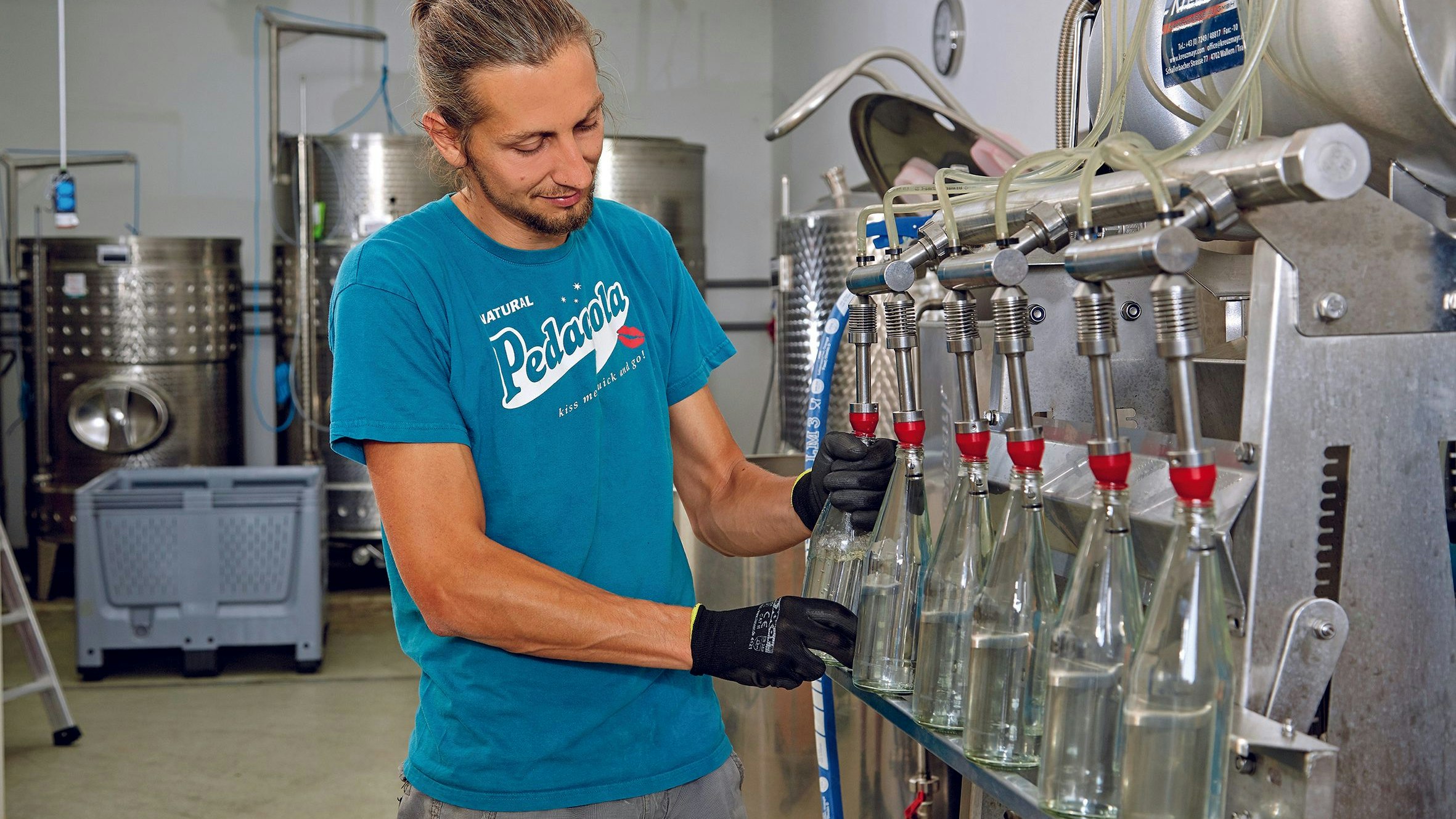 Heute.at - Seit über zehn Jahren: Pedacola mischt auf