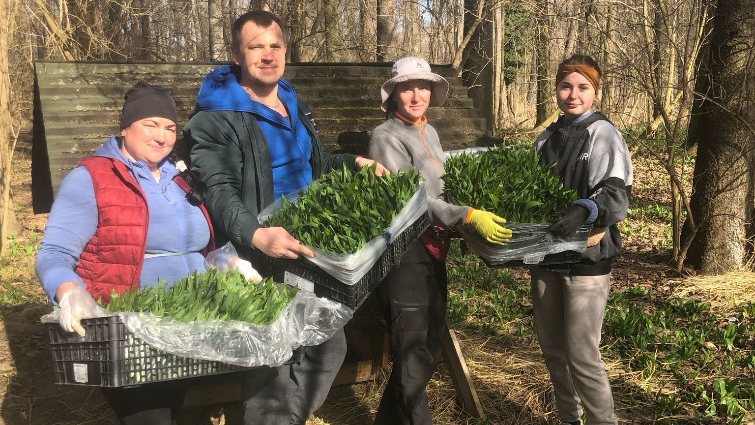 Heinrich Penz (2.v.l.) und Familie bei der Bärlauchernte.