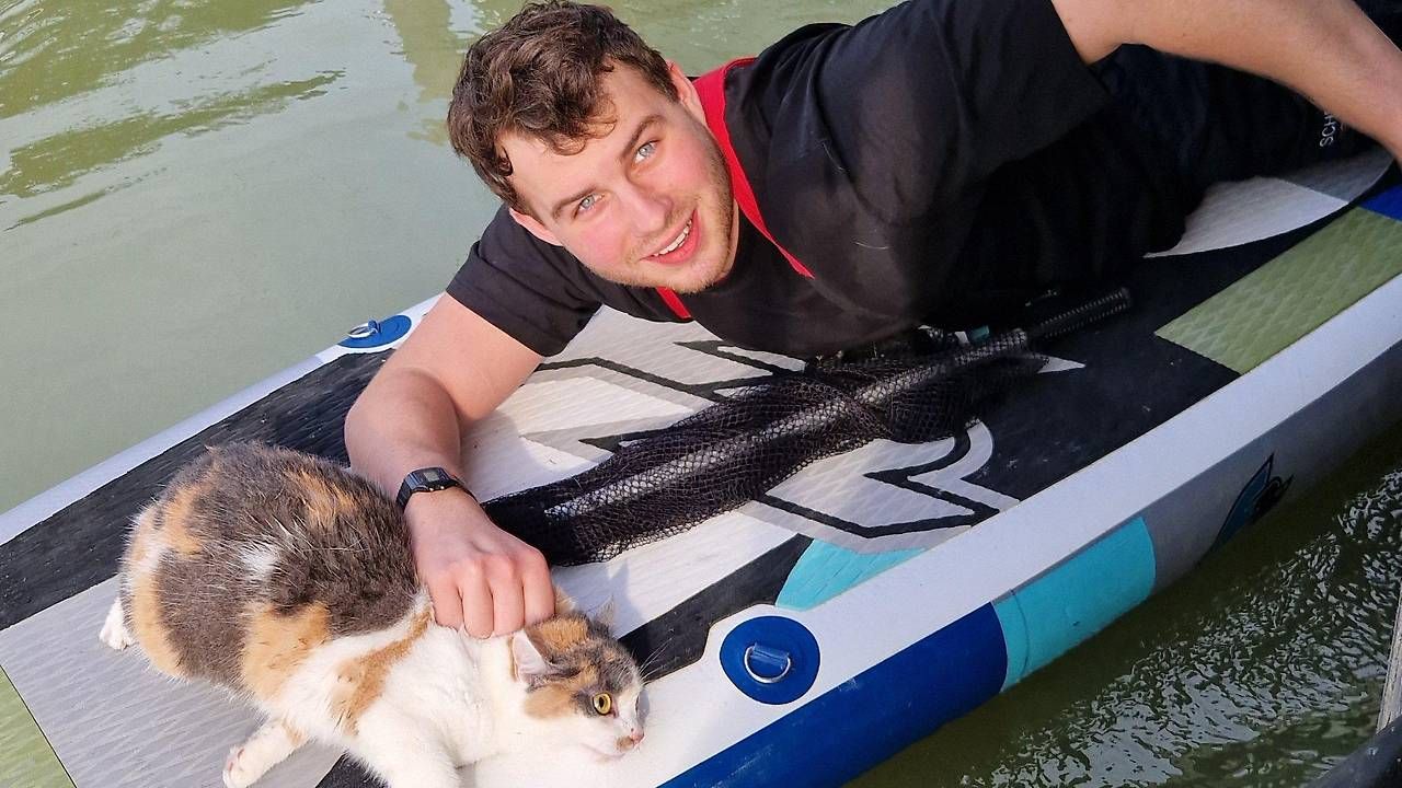Heute.at - Katze in Not – Kuriose Rettung mit Stand-Up Paddle