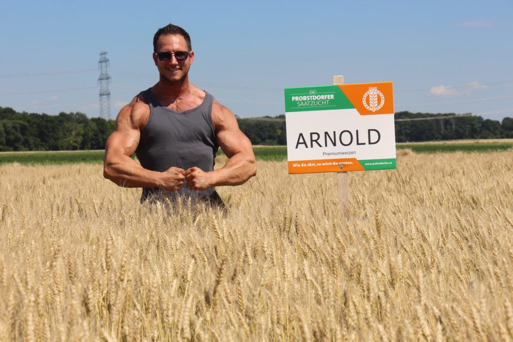 Heute.at - Optimales Saatgut aus dem Marchfeld