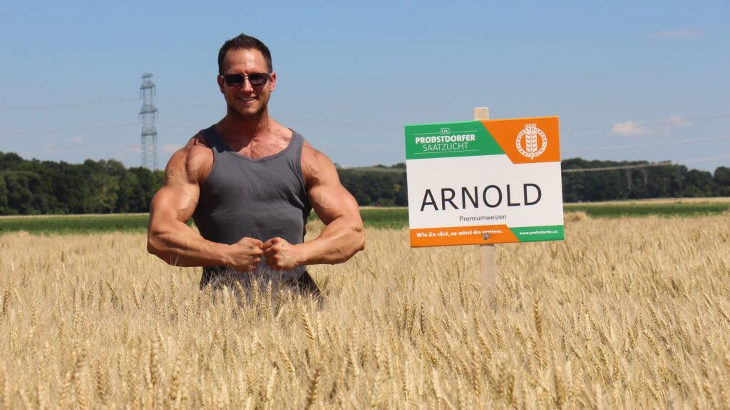 Das Premiumweizen ist das Premiumprodukt