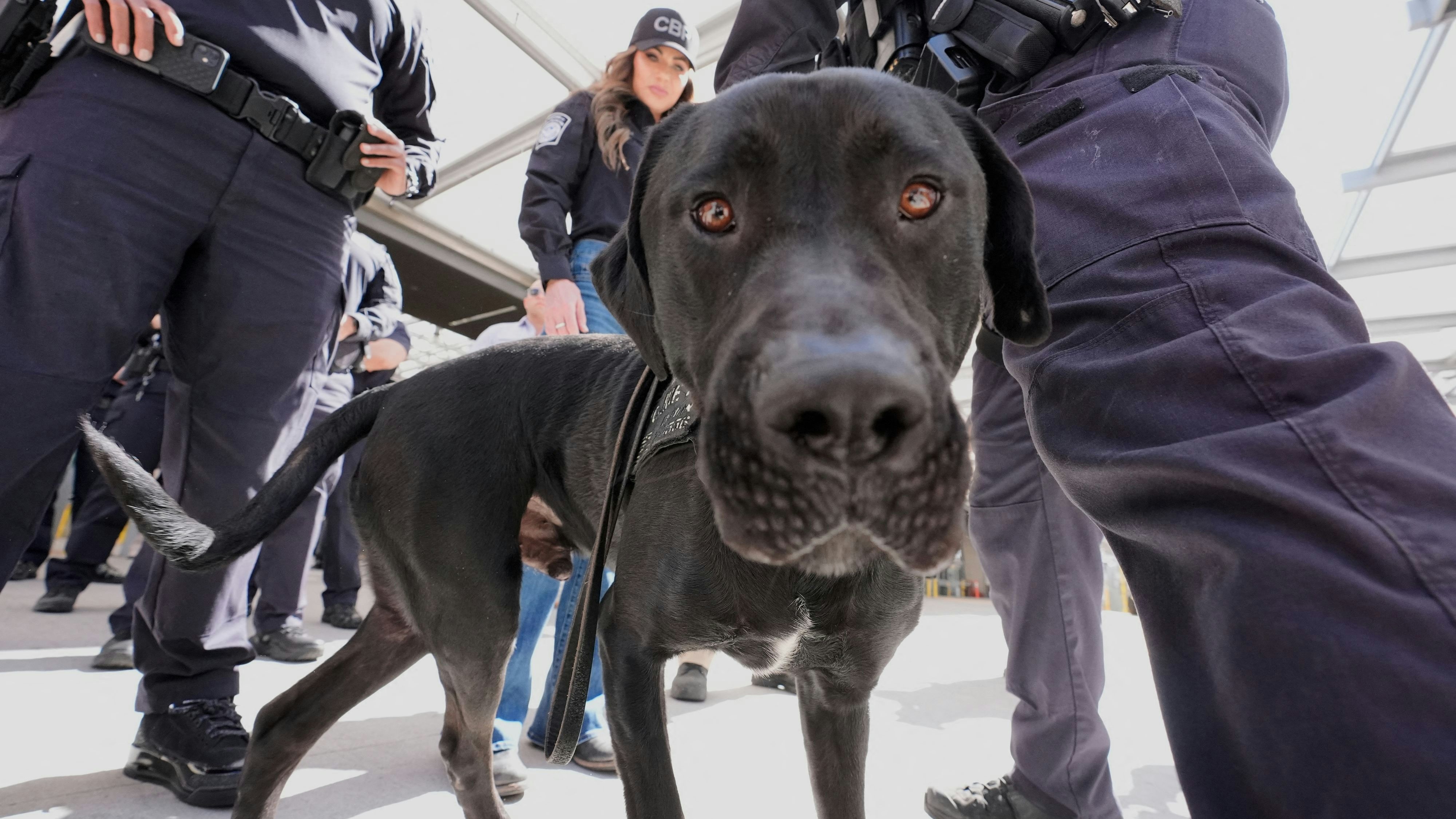 Für diesen Spürhund der Zoll- und Grenzschutzbehörde ist der Besuch von Kristi Noem noch einmal gut ausgegangen