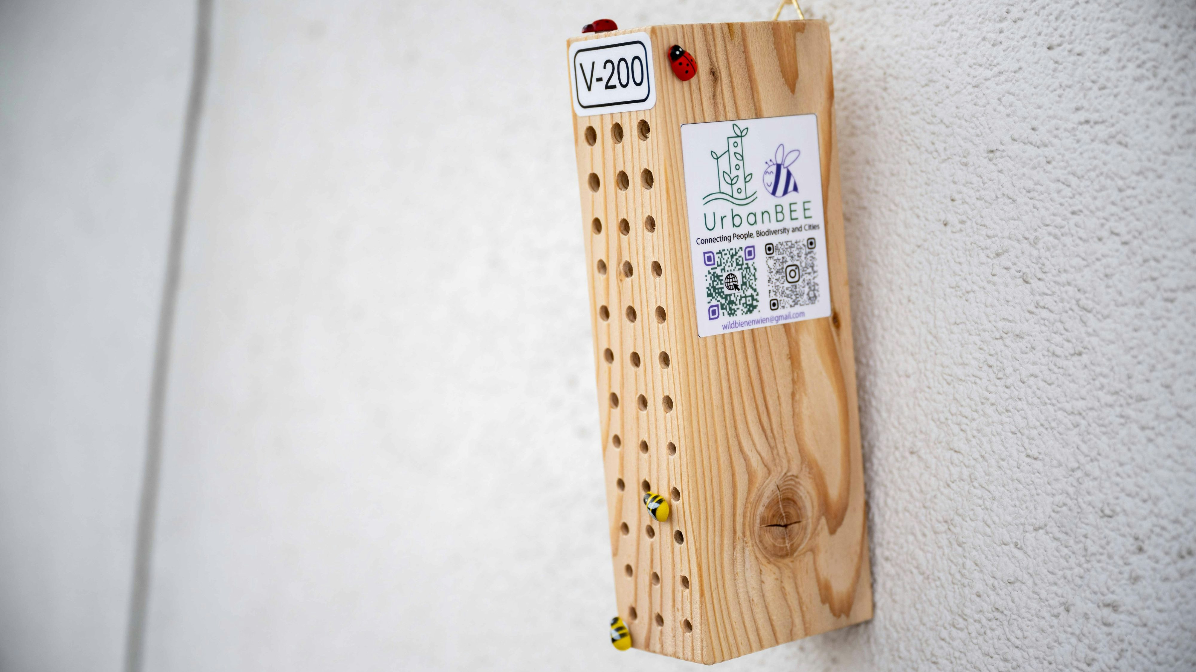 Das neue Wildbienenhotel am Dach des Umweltministeriums.