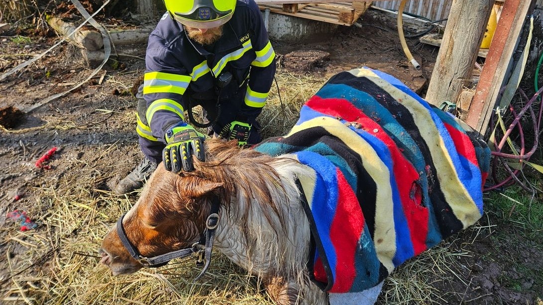 Das Pony konnte aus drei Metern Tiefe gerettet werden.