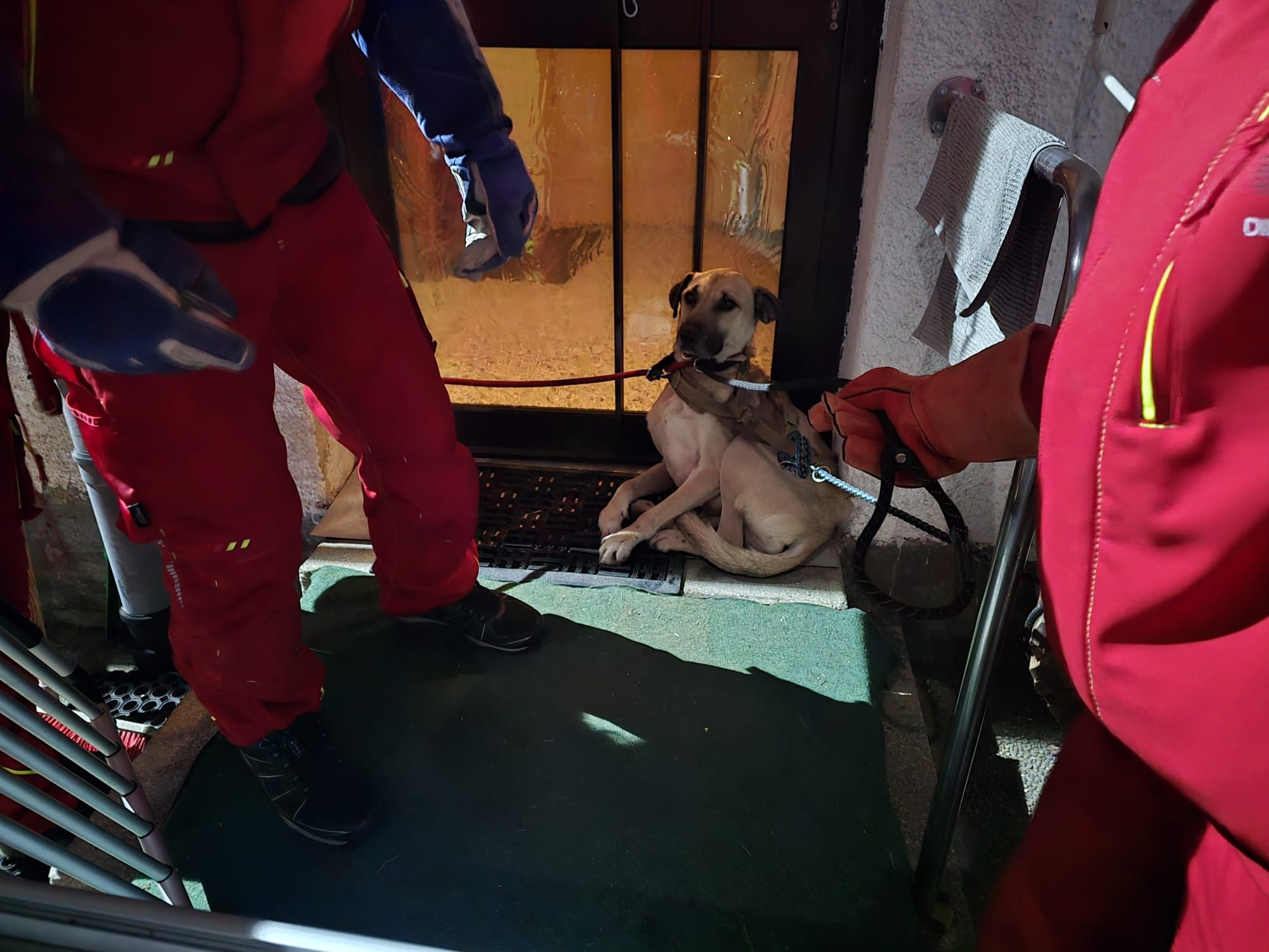 Endlich! Nach wochenlanger Suche konnte der verletzte 