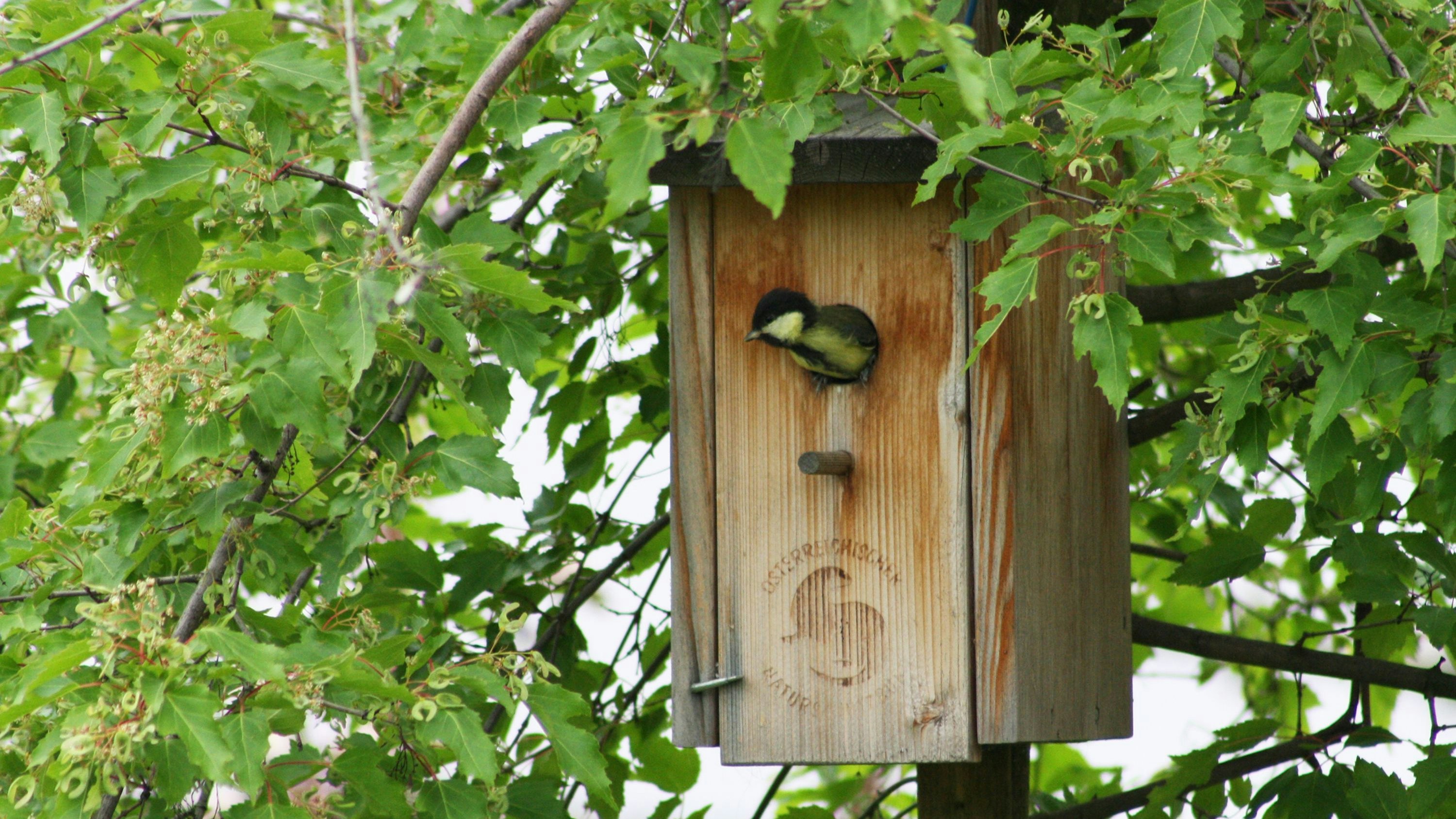 Die hübsche Einzimmerwohnung ist gar keine große Hexerei! 