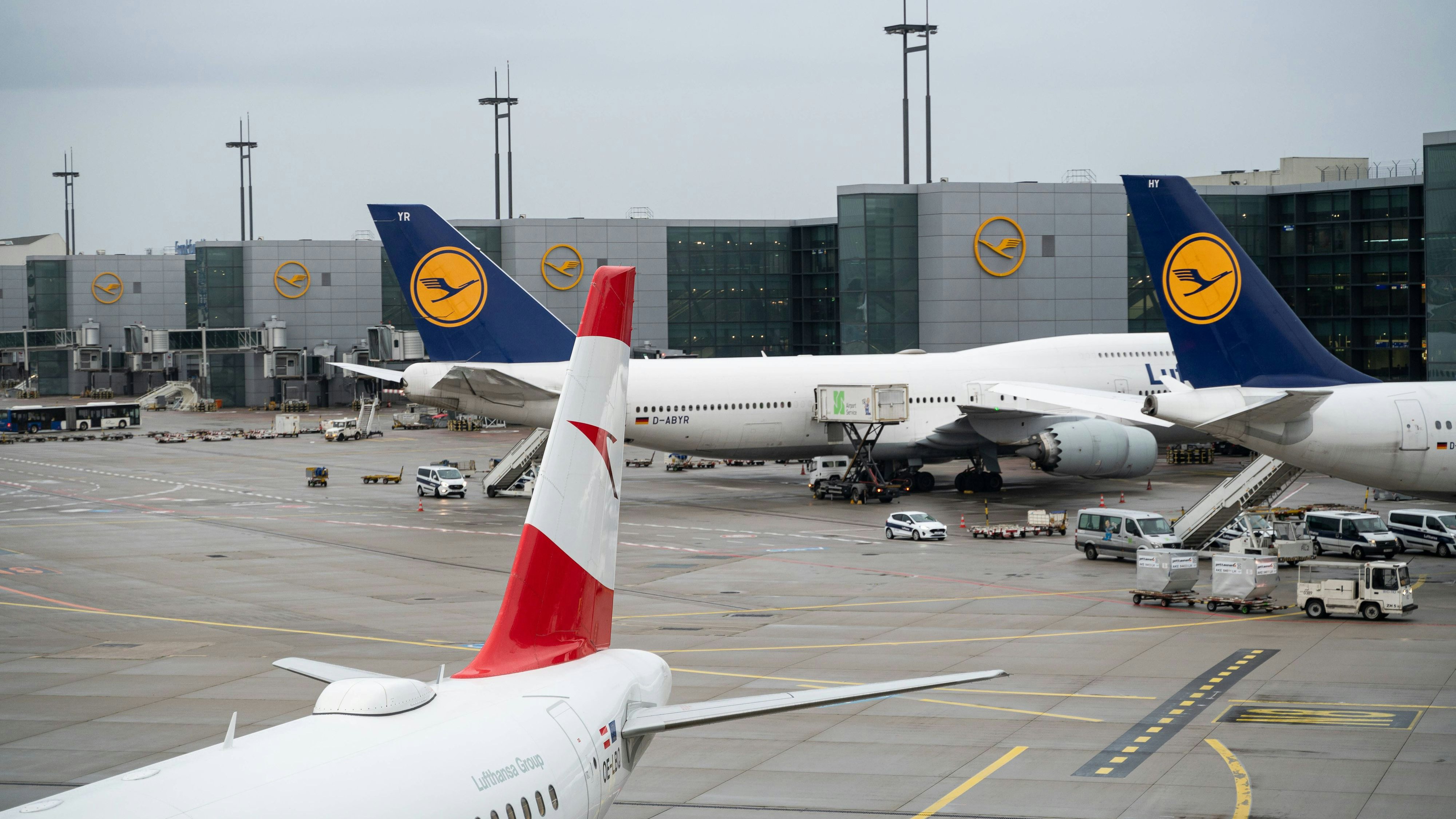 04.08.2023, Frankfurt, Hessen, Deutschland, Europa - Passagierflugzeuge der Lufthansa und Austrian Airlines parken am Gate des Terminal 1 auf dem Frankfurter Flughafen. Lufthansa und Austrian sind Mitglied der Star Alliance Luftfahrtallianz, einem internationalen Netzwerk von Fluggesellschaften.