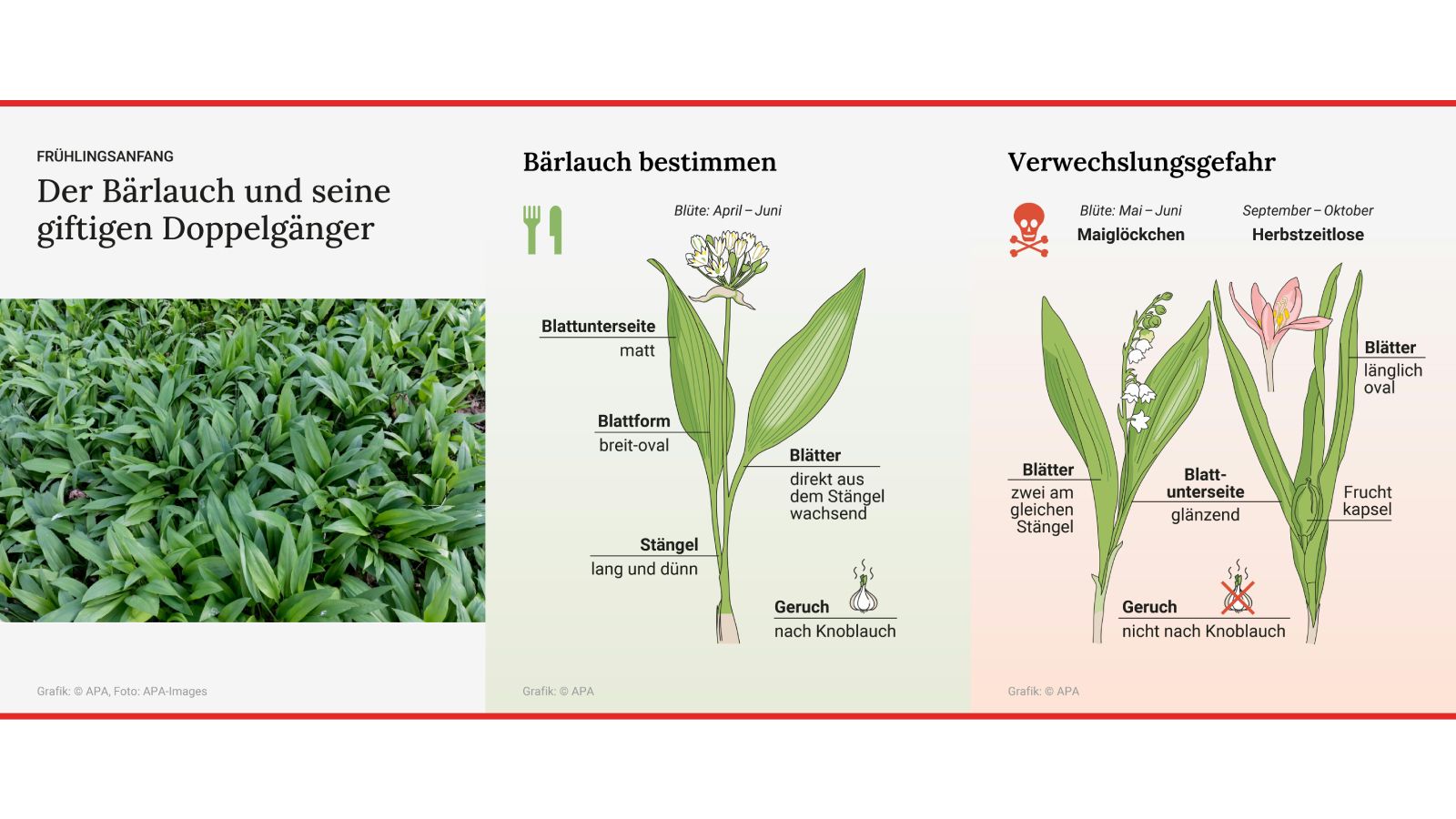 Merkmale zur Unterscheidung.