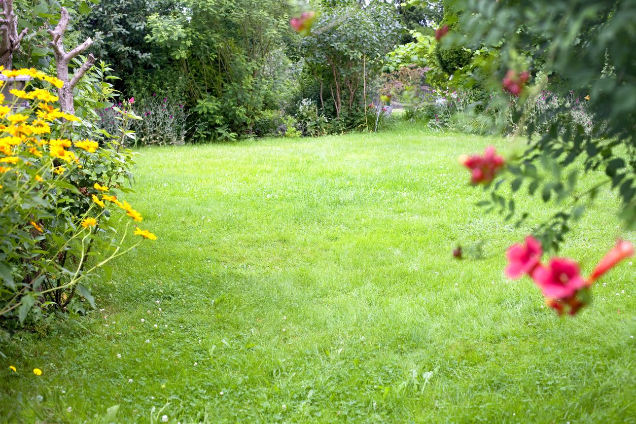 Heute.at - Regenreicher Februar – so rettest du jetzt deinen Rasen