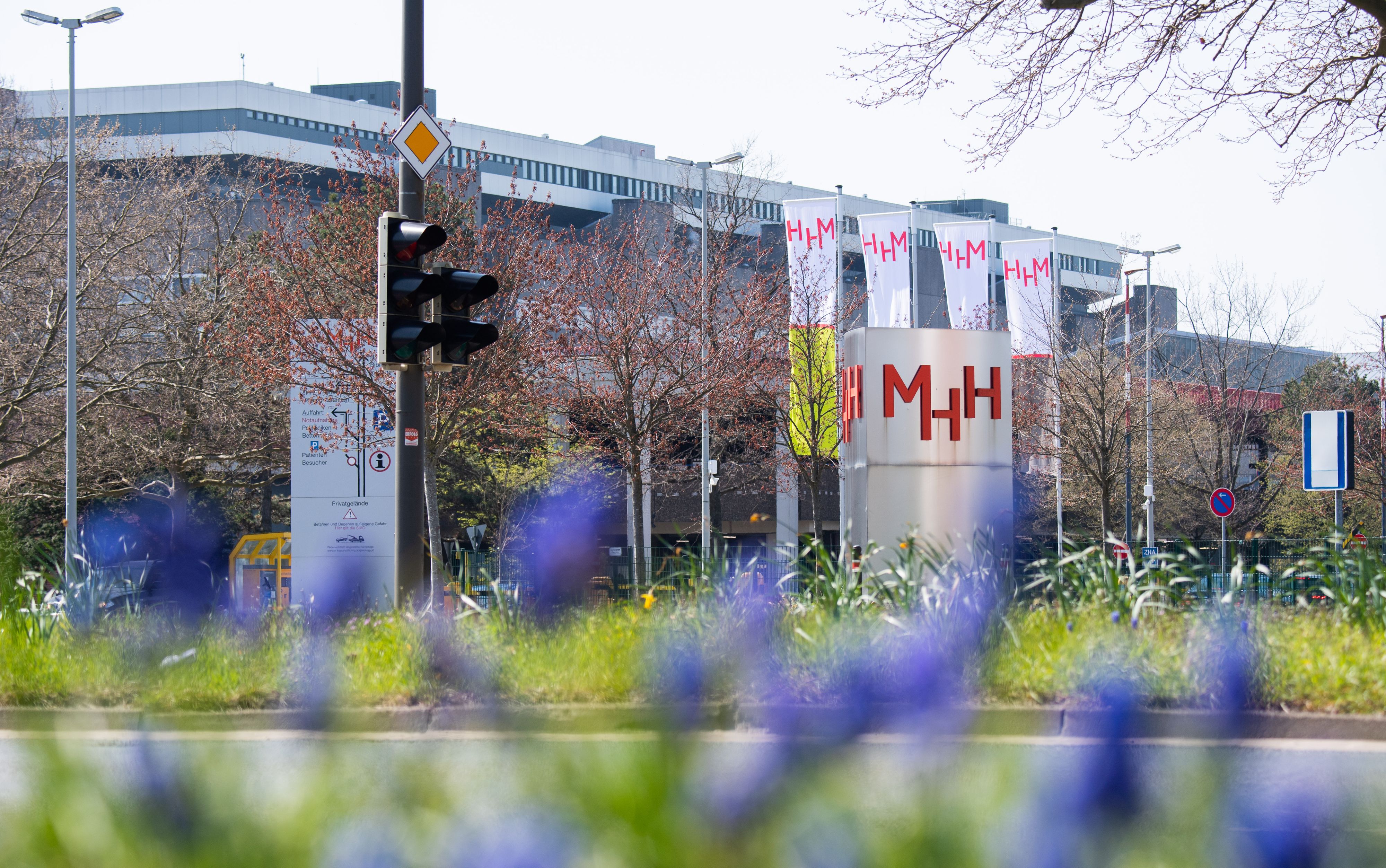 Heute.at - Arzt soll drei Patienten getötet haben – U-Haft