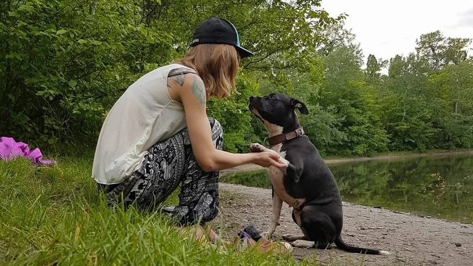 Listenhund "Yuki" muss Maulkorb tragen - Erstickungsgefahr!