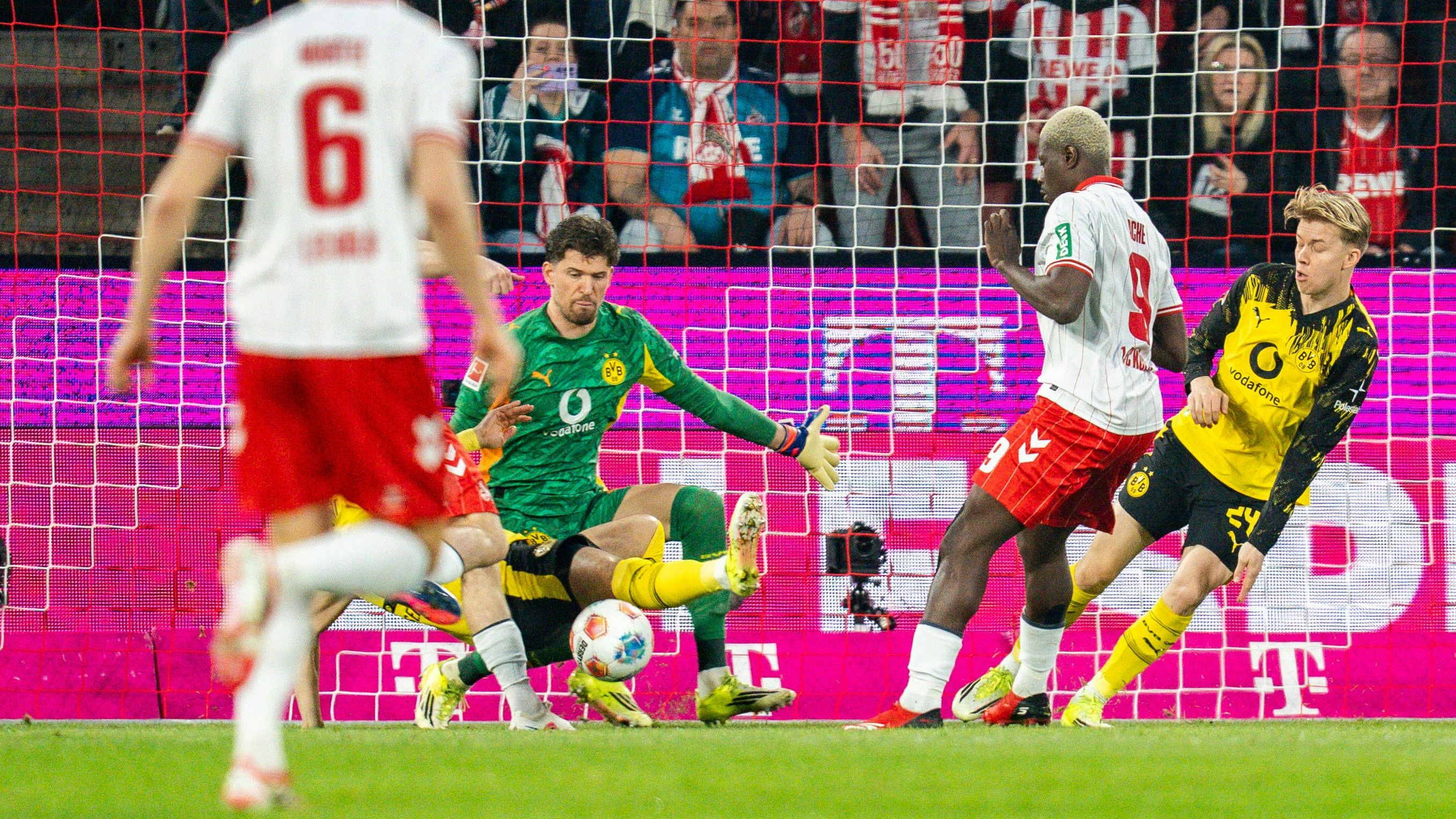 07.03.2026, 1. FC Köln vs. Borussia Dortmund, 1. Bundesliga, 25. Spieltag Gregor Kobel Borussia Dortmund, 1 Daniel Svensson Borussia Dortmund, 24 Ragnar Ache 1.FC Koeln, 9 Eric Martel 1.FC Koeln, 6 Wichtiger Hinweis: Gemaess den Vorgaben der DFL Deutsche Fussball Liga bzw. des DFB Deutscher Fussball-Bund ist es untersagt, in dem Stadion und/oder vom Spiel angefertigte Fotoaufnahmen in Form von Sequenzbildern und/oder videoaehnlichen Fotostrecken zu verwerten *** 07 03 2026, 1 FC Köln vs Borussia Dortmund, 1 Bundesliga, 25 Matchday Gregor Kobel Borussia Dortmund, 1 Daniel Svensson Borussia Dortmund, 24 Ragnar Ache 1 FC Koeln, 9 Eric Martel 1 FC Koeln, 6 Important note According to the regulations of the DFL German Football League and the DFB German Football Association, it is prohibited to use photographs taken in the stadium and or of the match in the form of sequential images and or video-like photo series Copyright: xBahhoxKarax