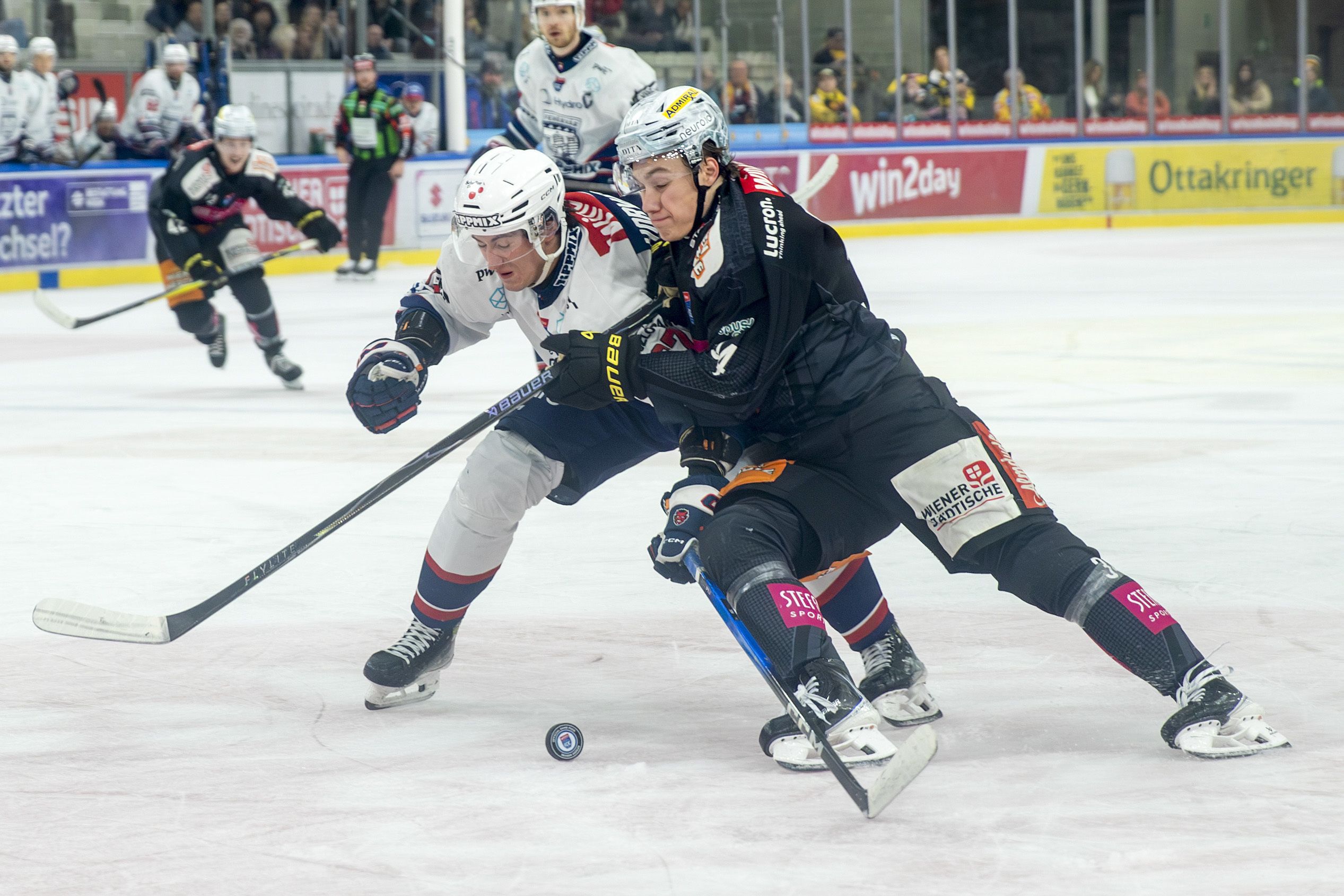 Für die Caps kam in den Pre-Play-offs das Aus.
