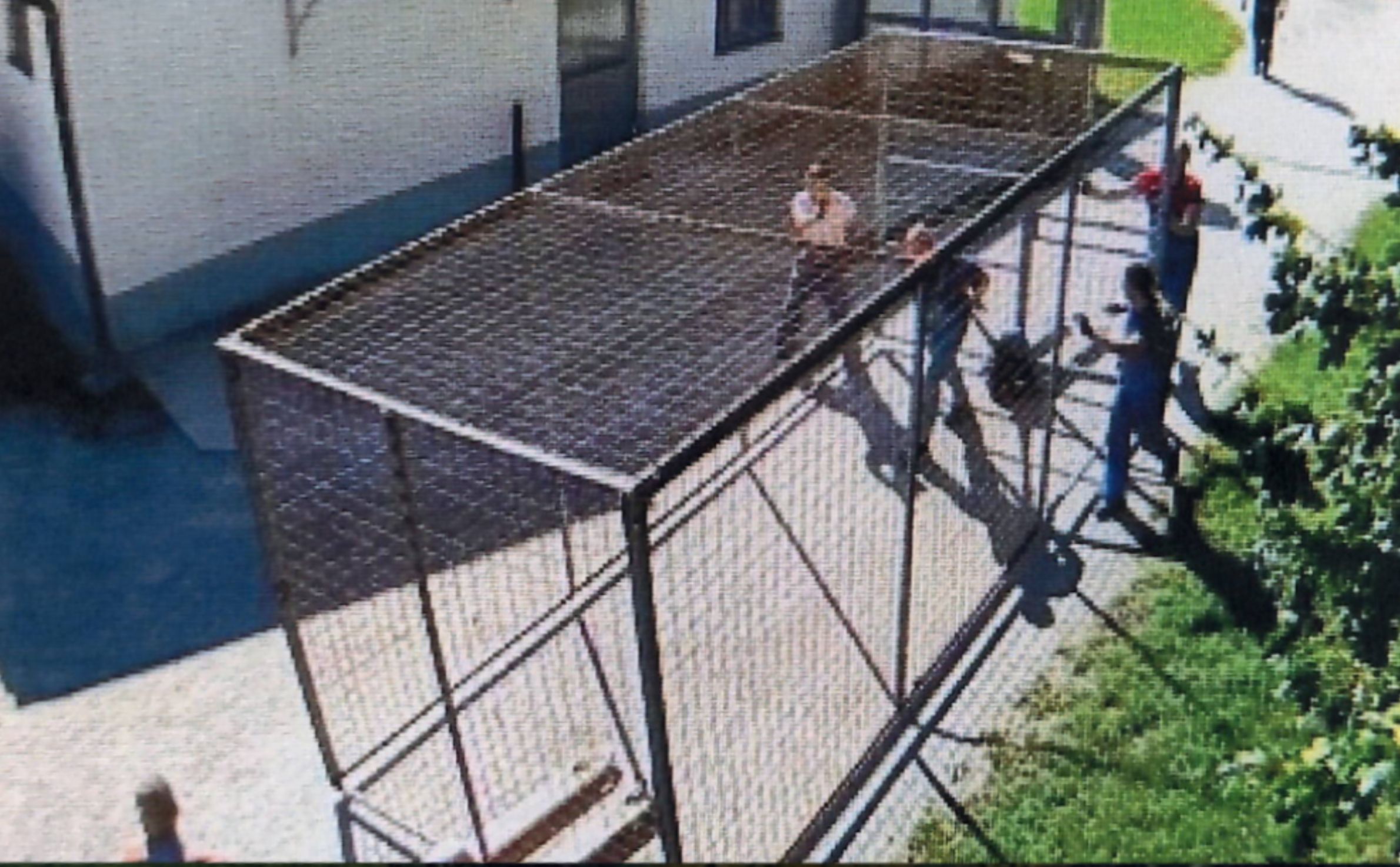 Schockierendes Bildmaterial aus einem heimischen Häf’n: Hier wird der Käfig, der für psychisch auffällige Häftlinge angedacht war, aufgestellt.