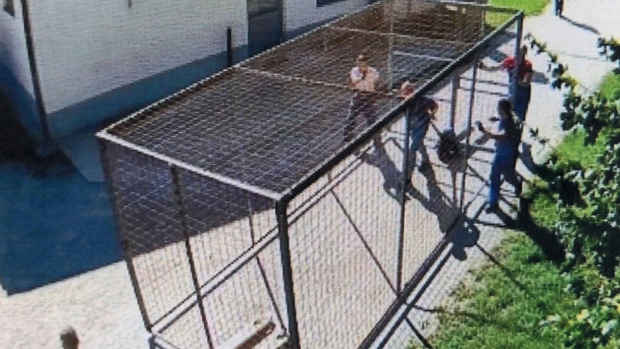 Schockierendes Bildmaterial aus einem heimischen Häf’n. Hier wird ein Käfig für Häftlinge aufgestellt.