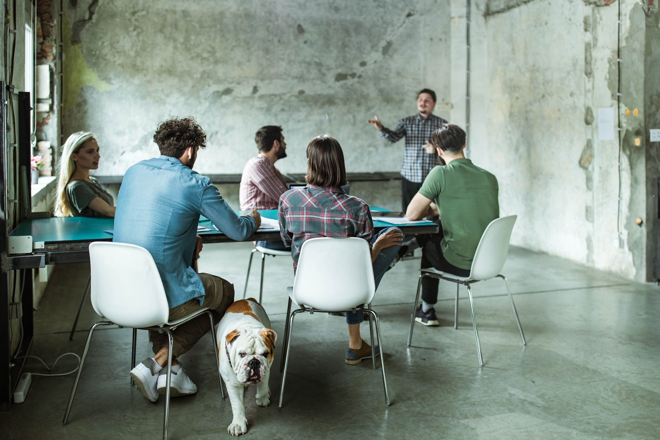 Heute.at - Hinz & Kunz - Pflichtkurs für Tierhalter absurd?