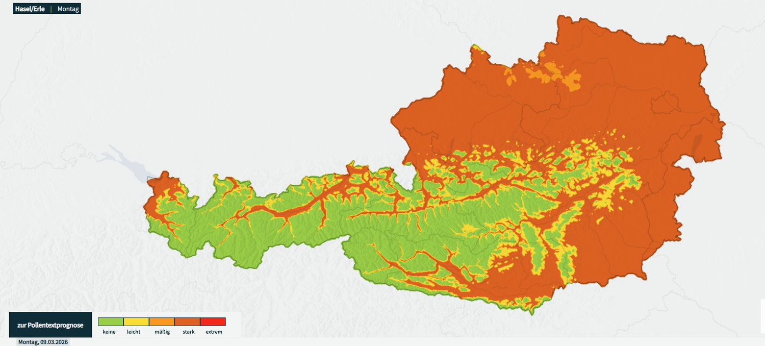 Es wird wärmer, und viele Pflanzen fangen an zu blühen. Die Pollenflug-Karte der Geosphere Austria färbt sich deshalb in vielen Teilen Österreichs knallrot.
